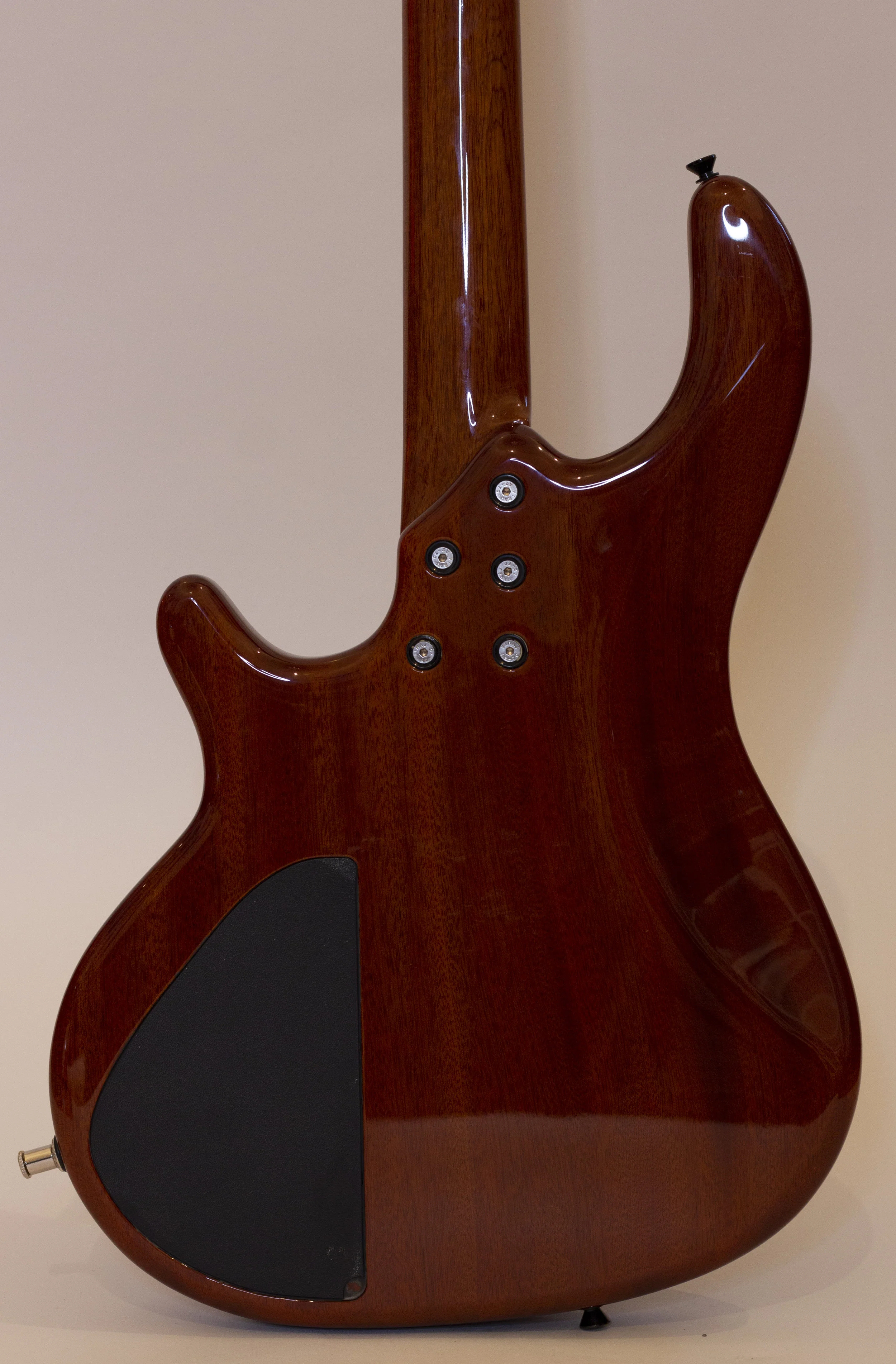 body rear.jpg