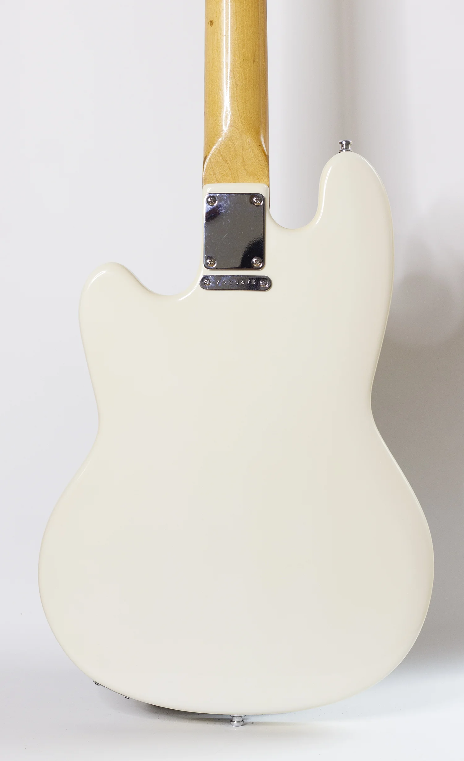 body rear.jpg