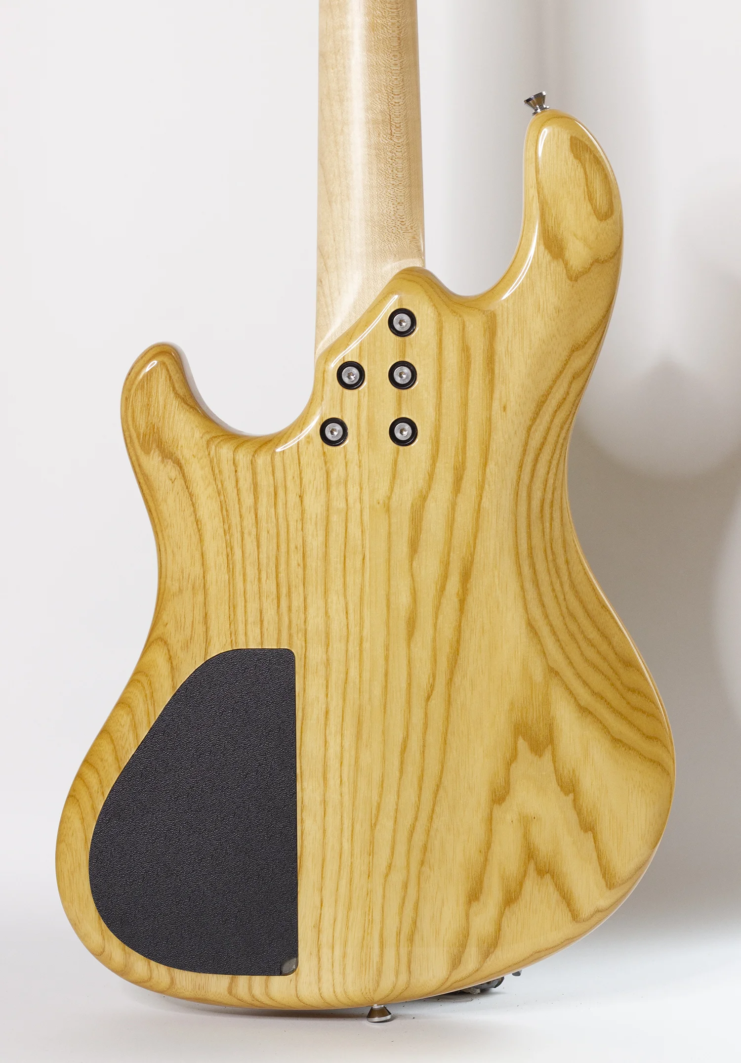 body rear.jpg
