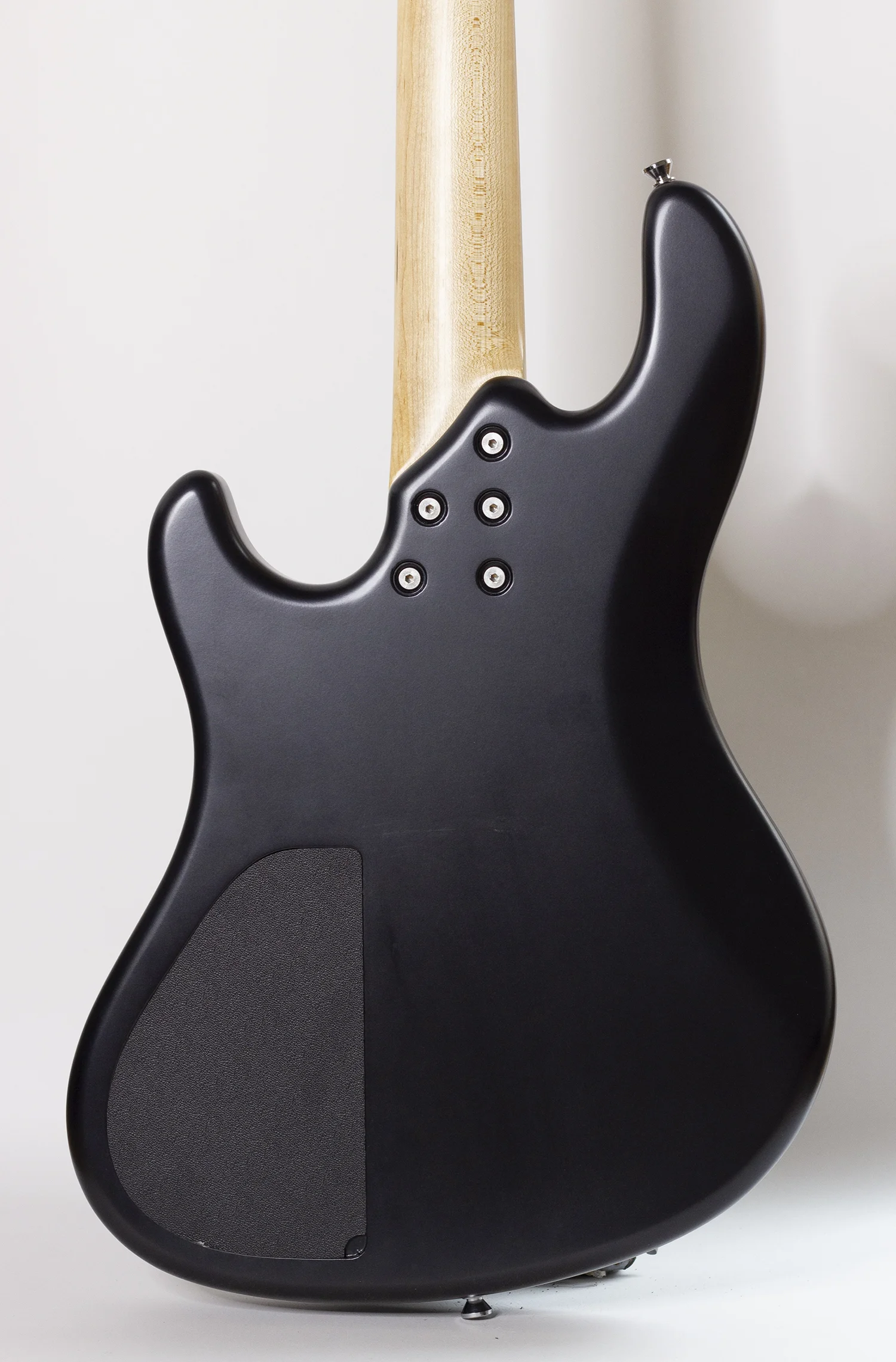 body rear.jpg