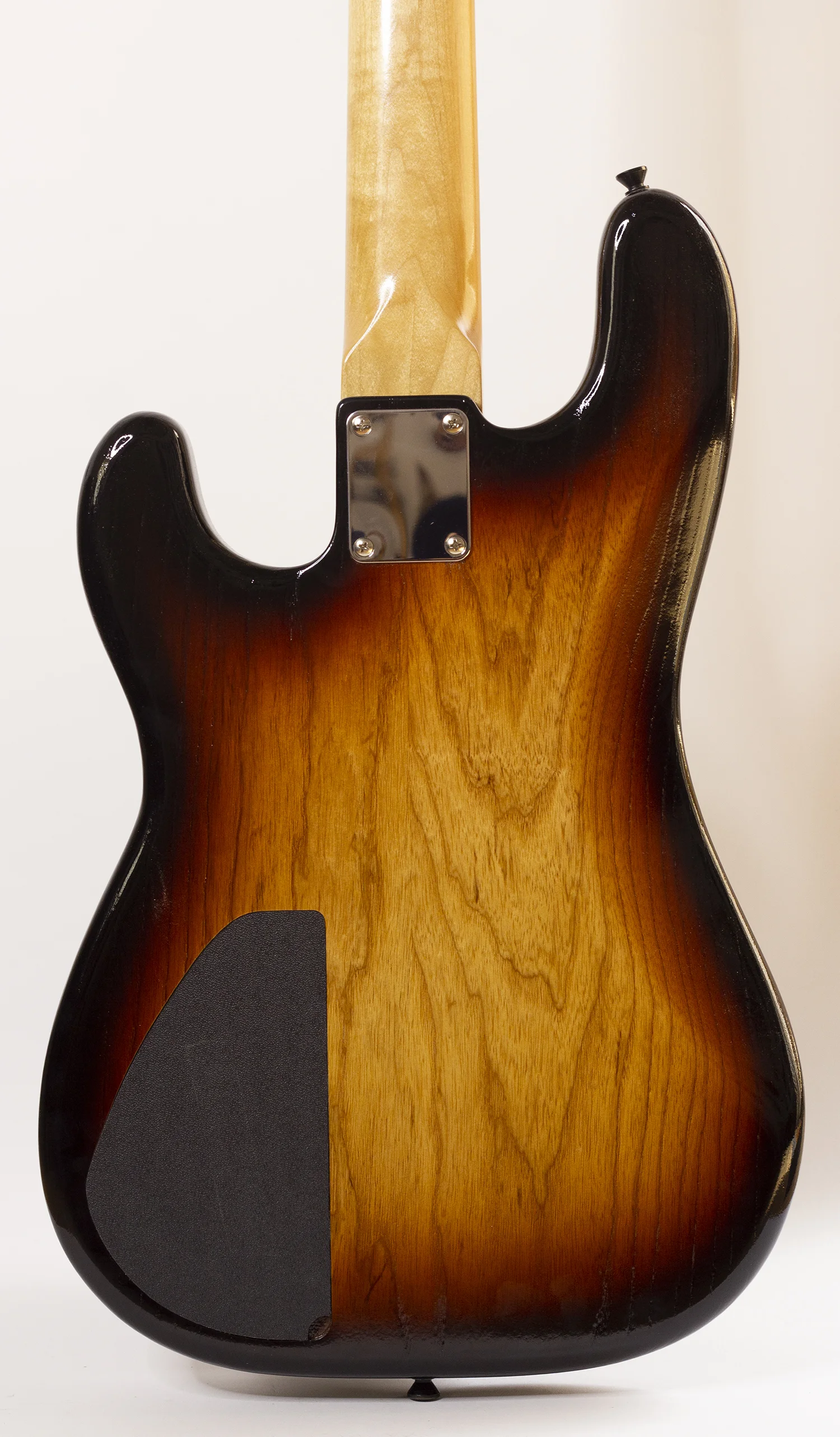 body rear.jpg