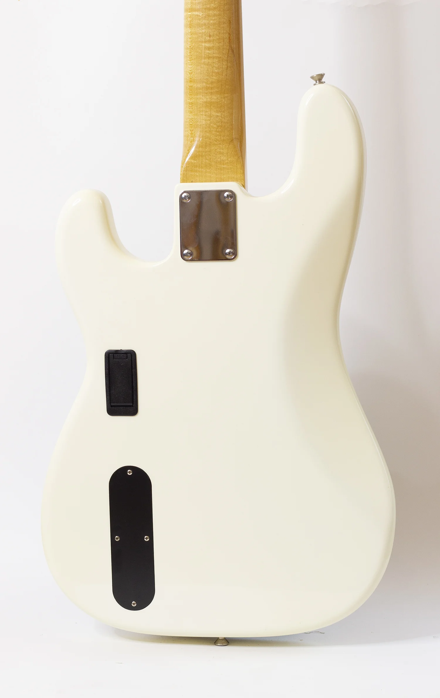body rear.jpg