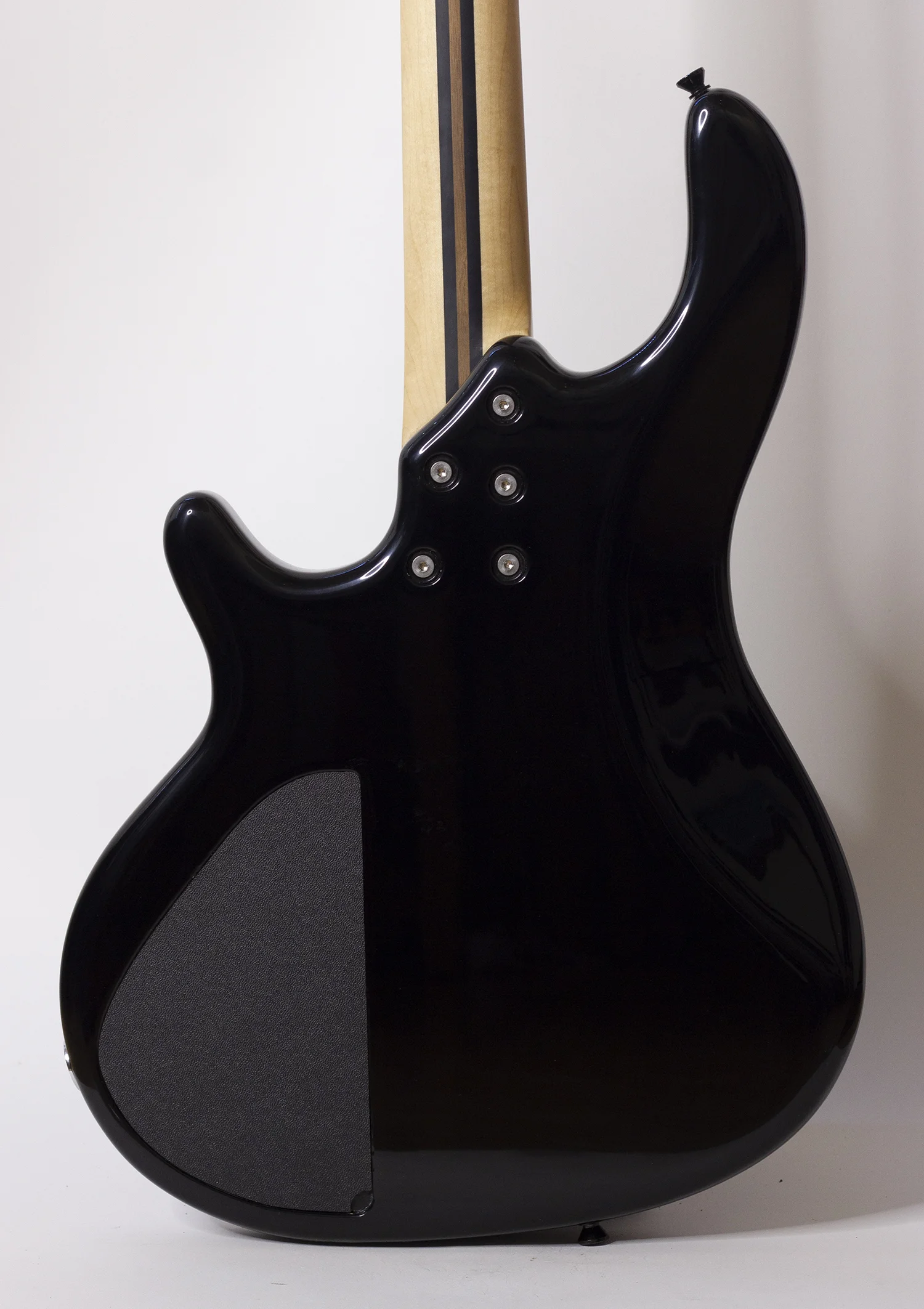 body rear.jpg