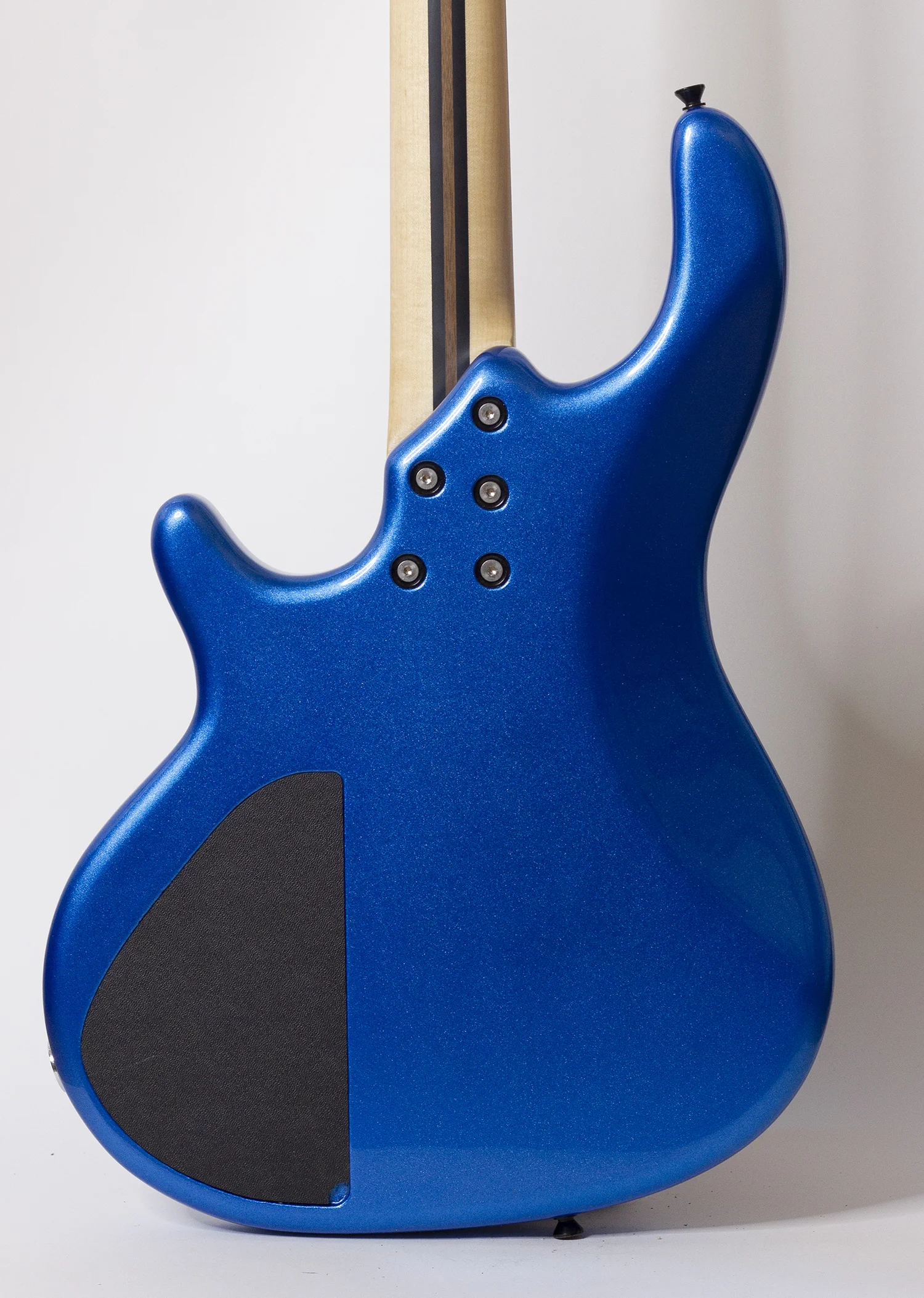 body rear.jpg
