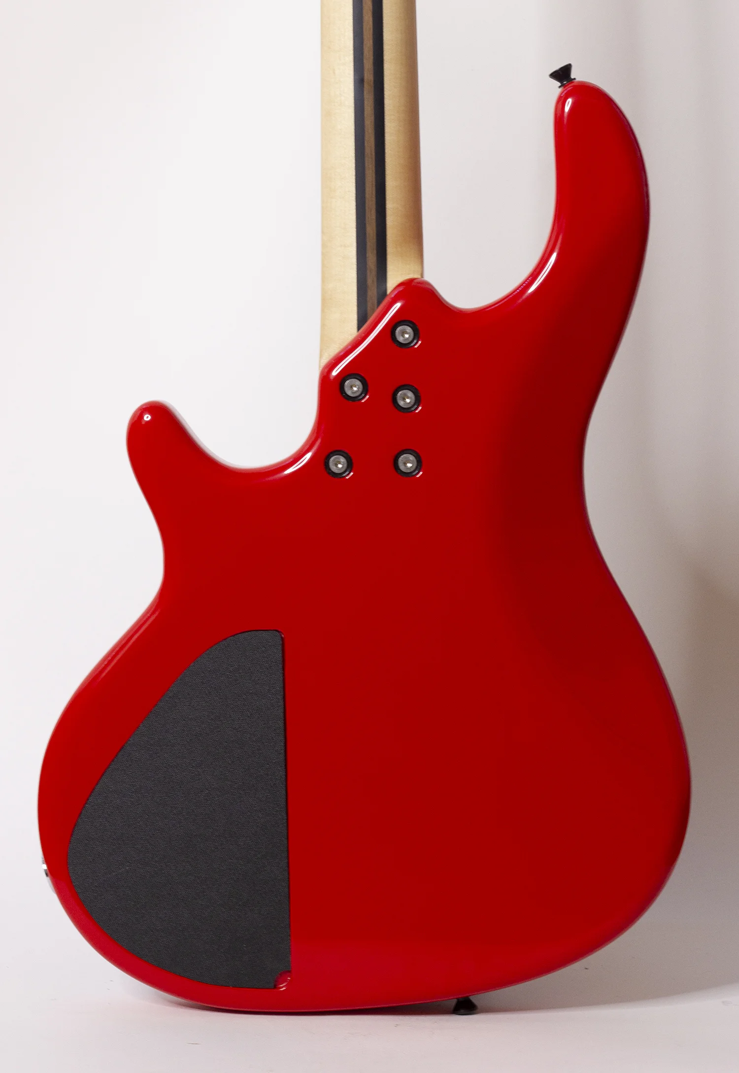 body rear.jpg