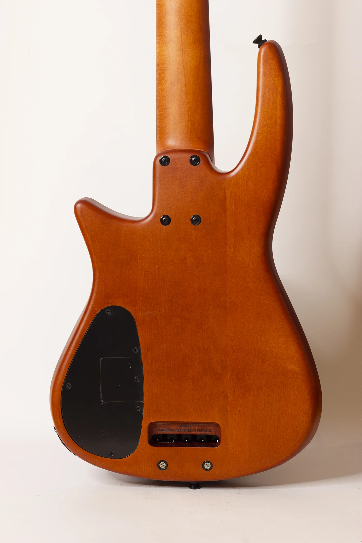 body rear.jpg