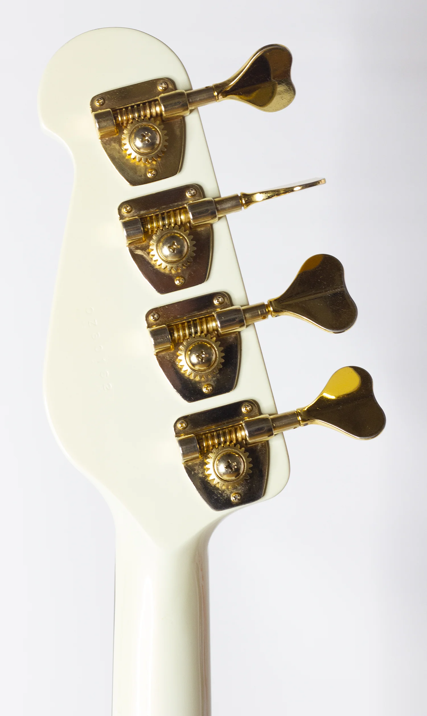 head rear.jpg