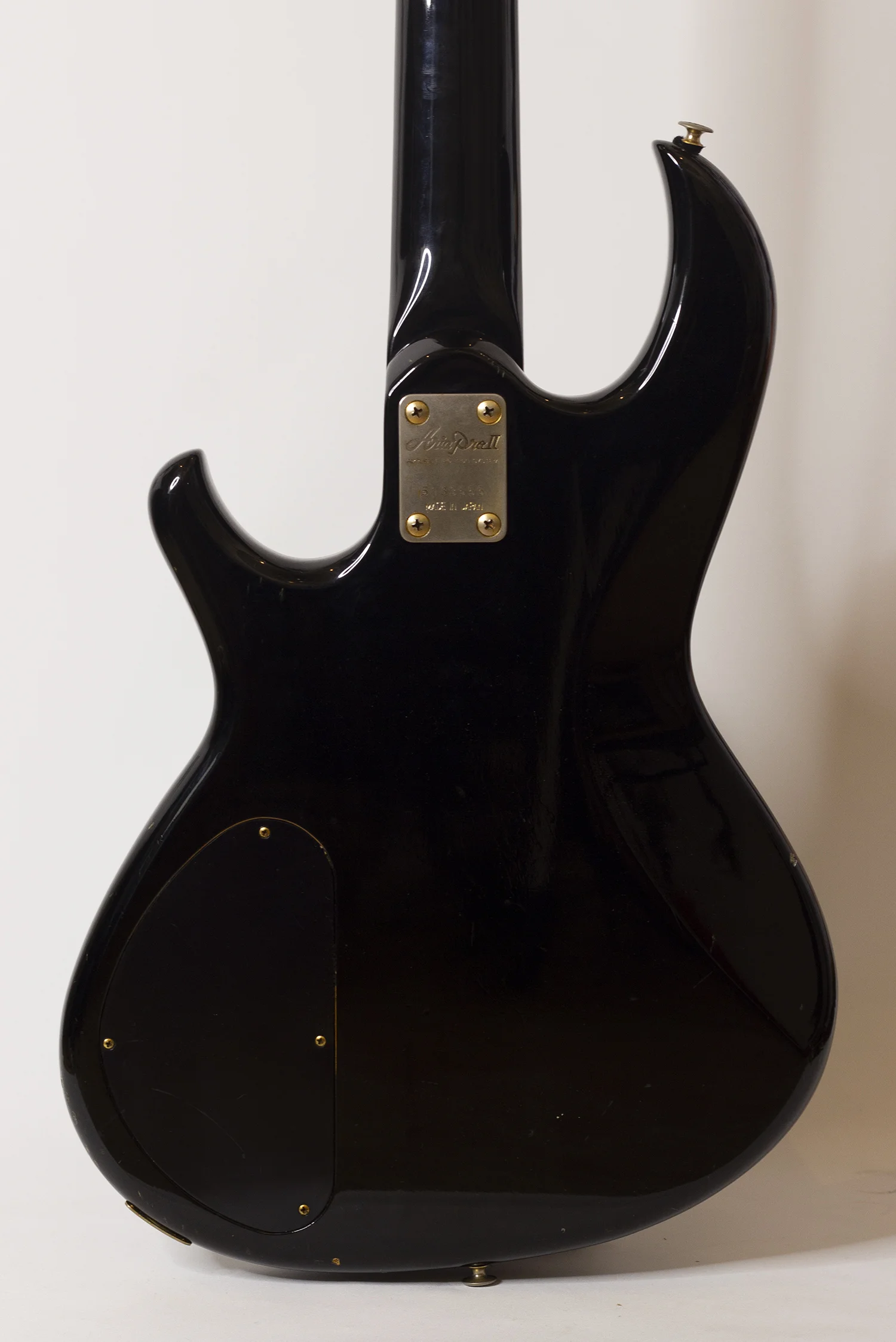 body rear.jpg