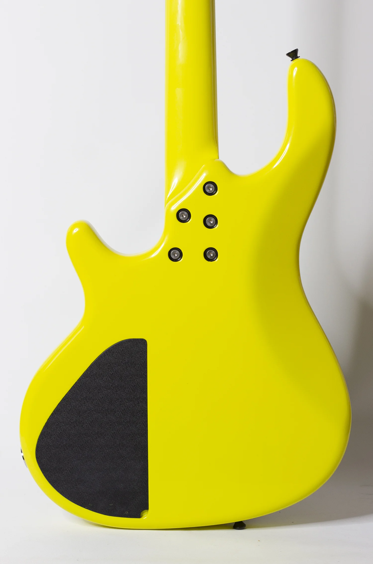 body rear 2.jpg
