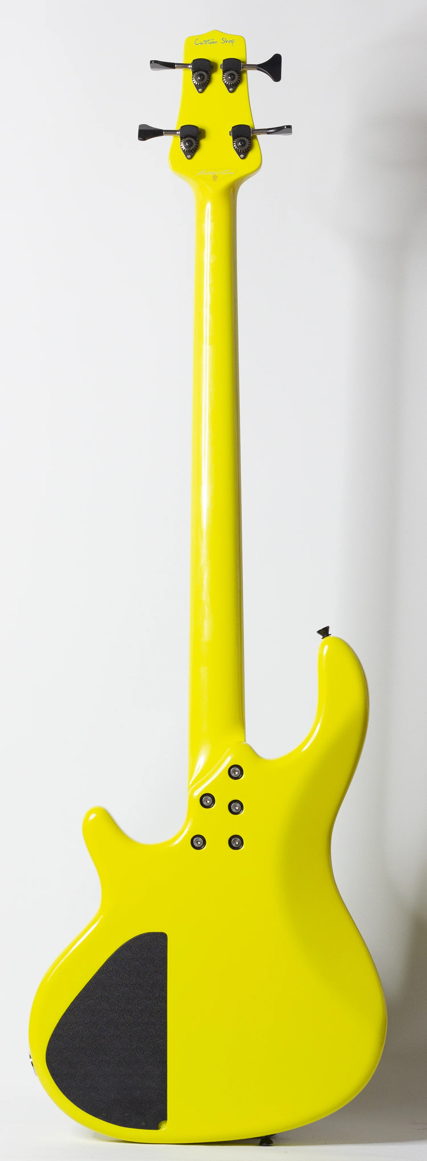 body rear.jpg