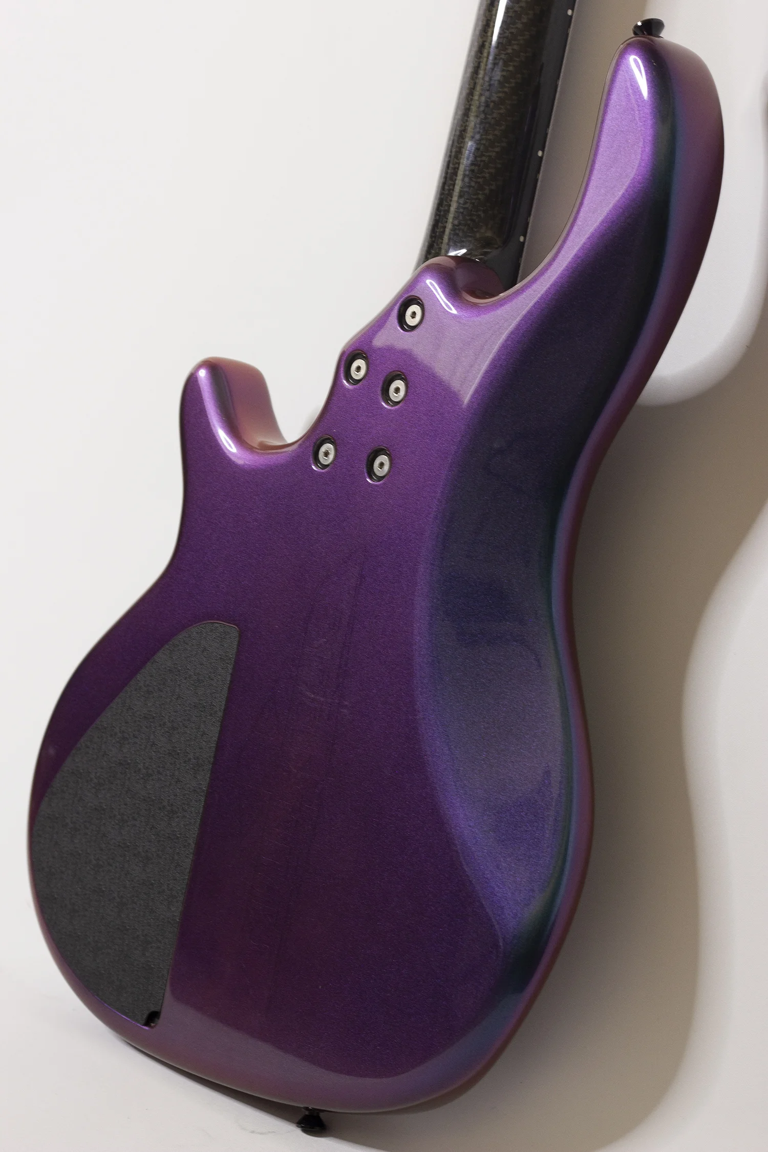 body rear angle.jpg
