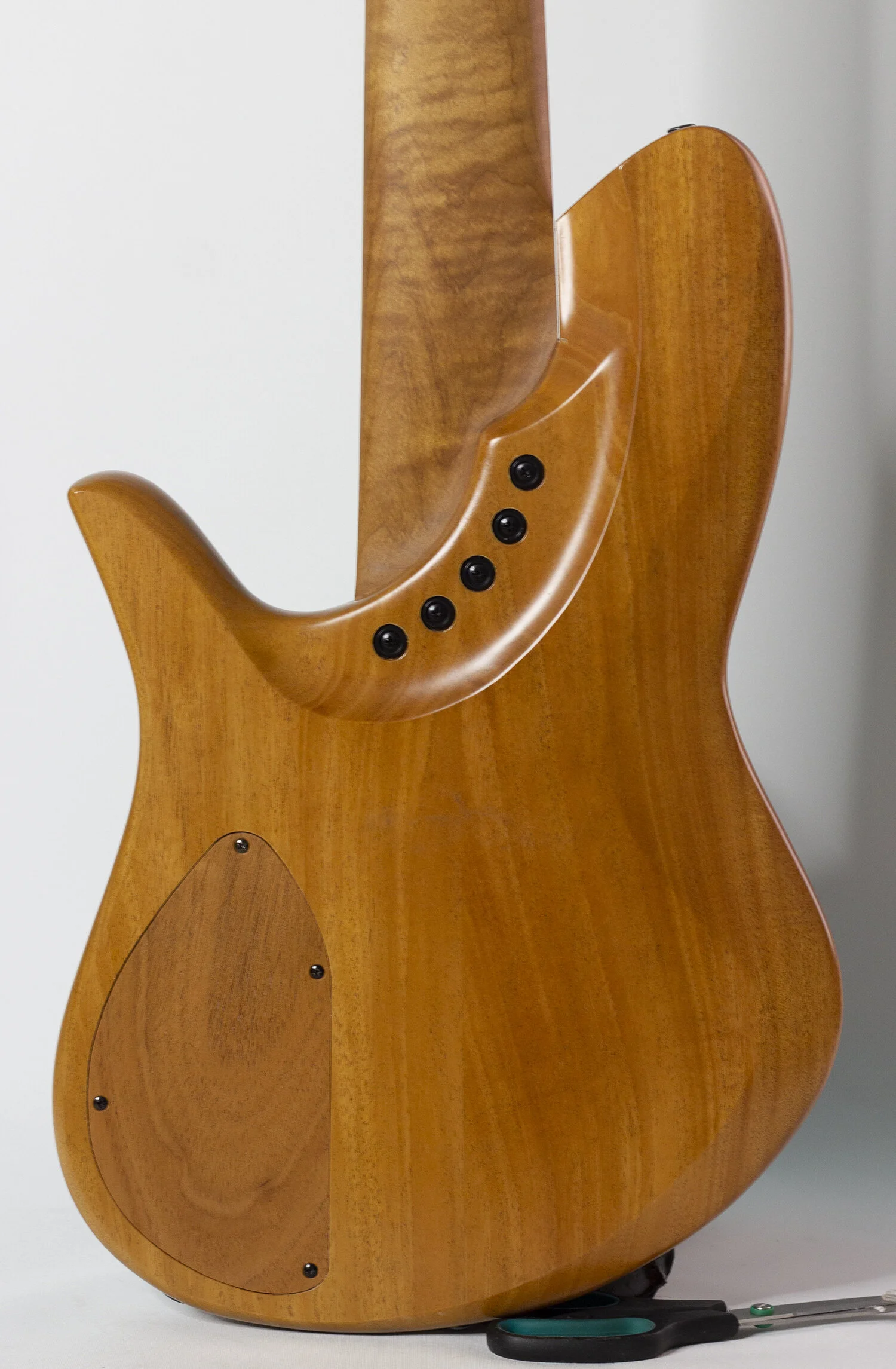 body rear.jpg