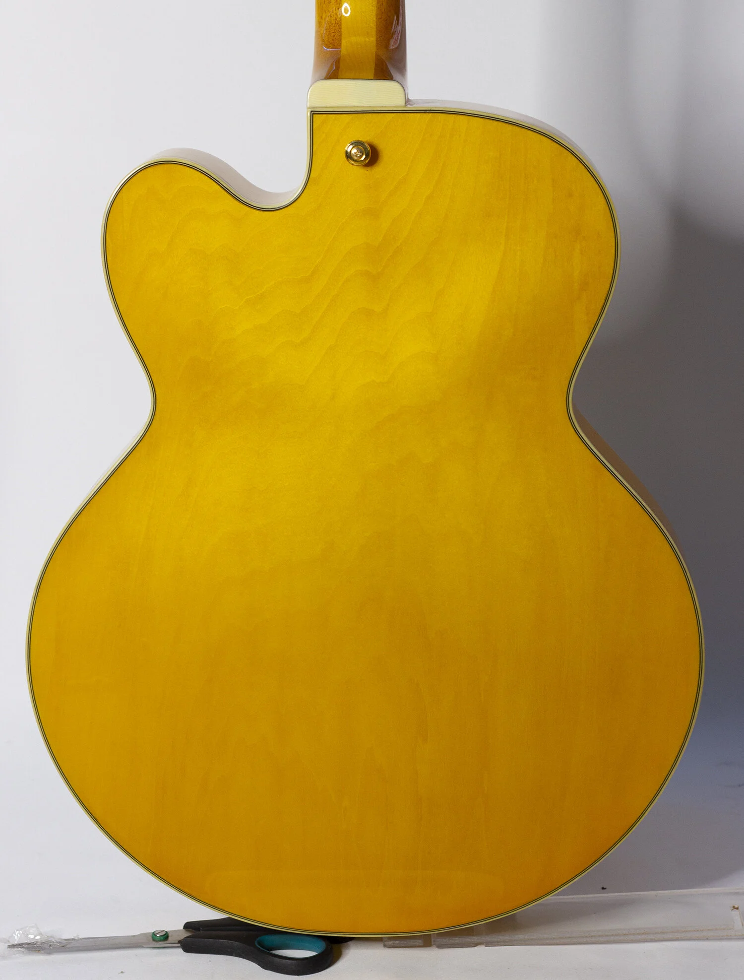 body rear.jpg