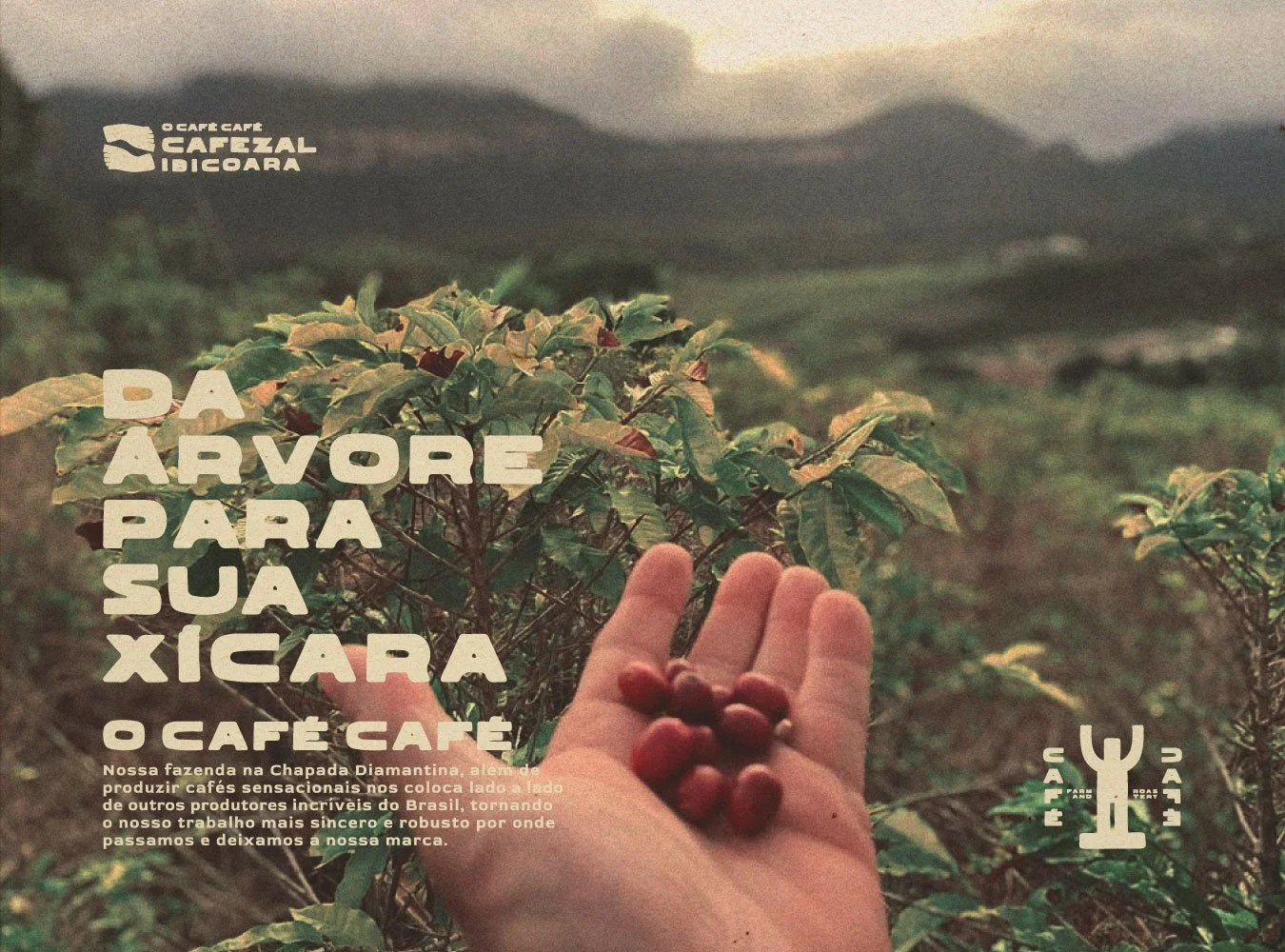 ocafecafe_20.jpg