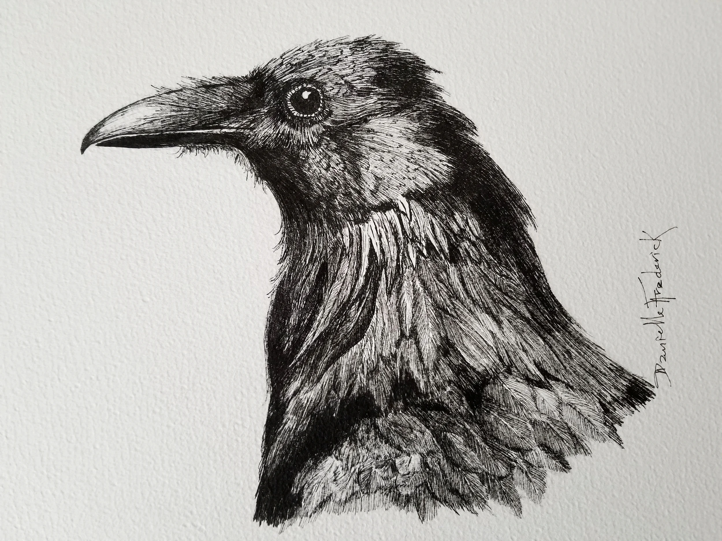 Raven Study