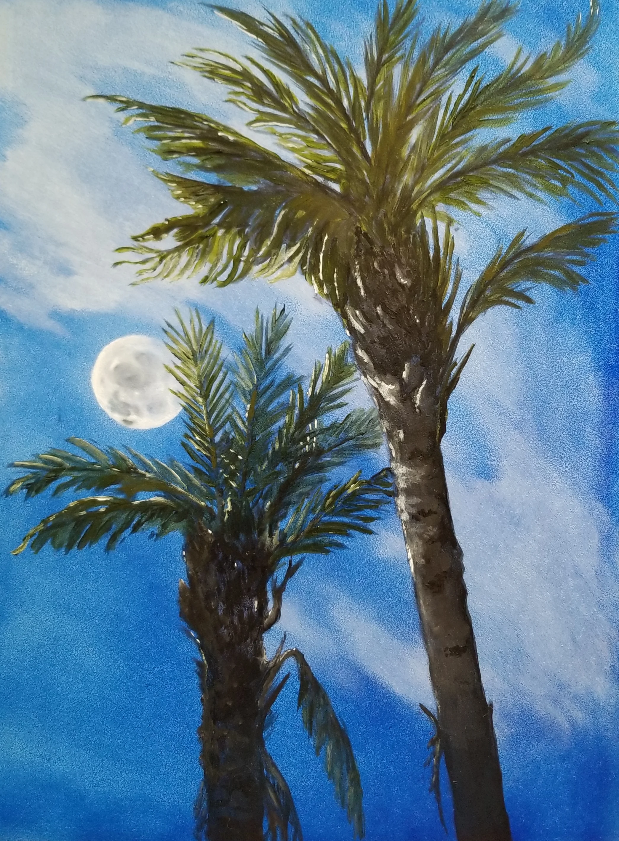 California Palm Trees in The Moonlight