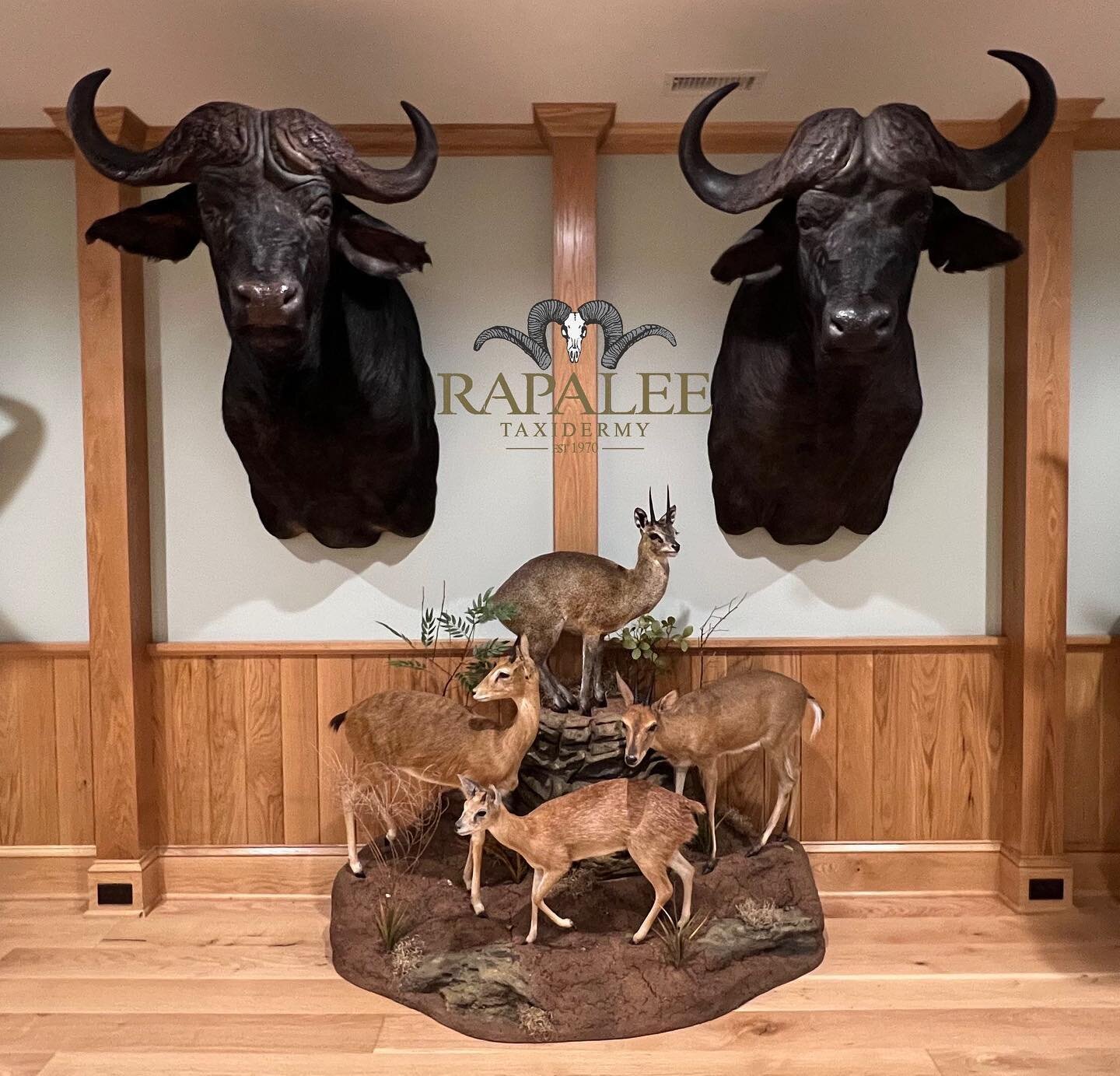 Here are a couple of mounts we recently installed in a clients room. Depending on your perspective of this display you could say &ldquo;the big guys are looking out for the little guys&rdquo; or maybe &ldquo;the little guys are watching out for the b