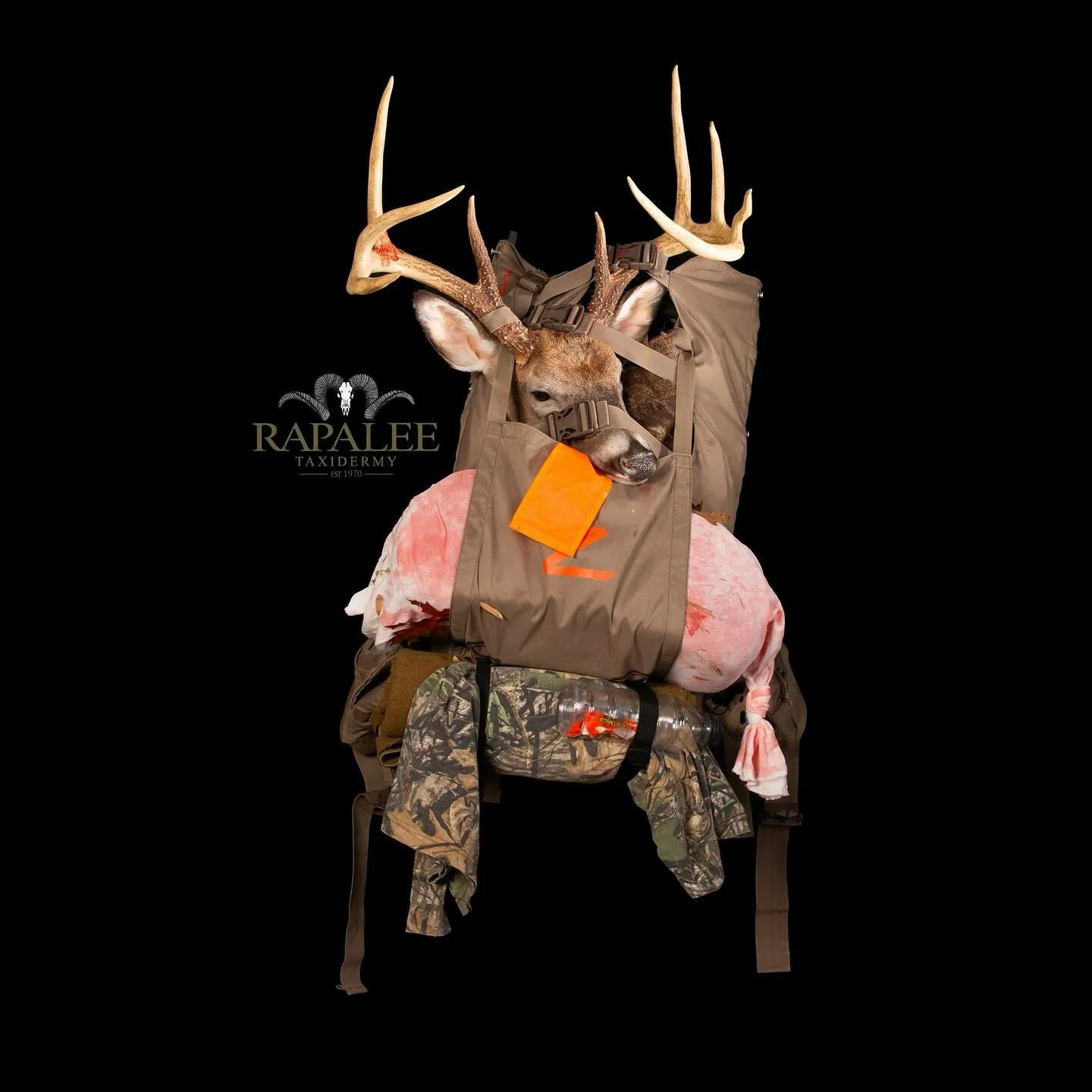 Whether it’s a modern pack or vintage style pack we have you covered with a unique addition to your trophy mount collection. #rapaleetaxidermy #worldclasstaxidermy #premiertaxidermy #customtaxidermy #customwhitetailtaxidermy #hunt #deerhunter #