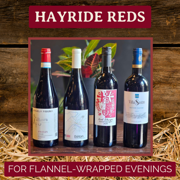 flight graphics (600 x 600 px) (2).png