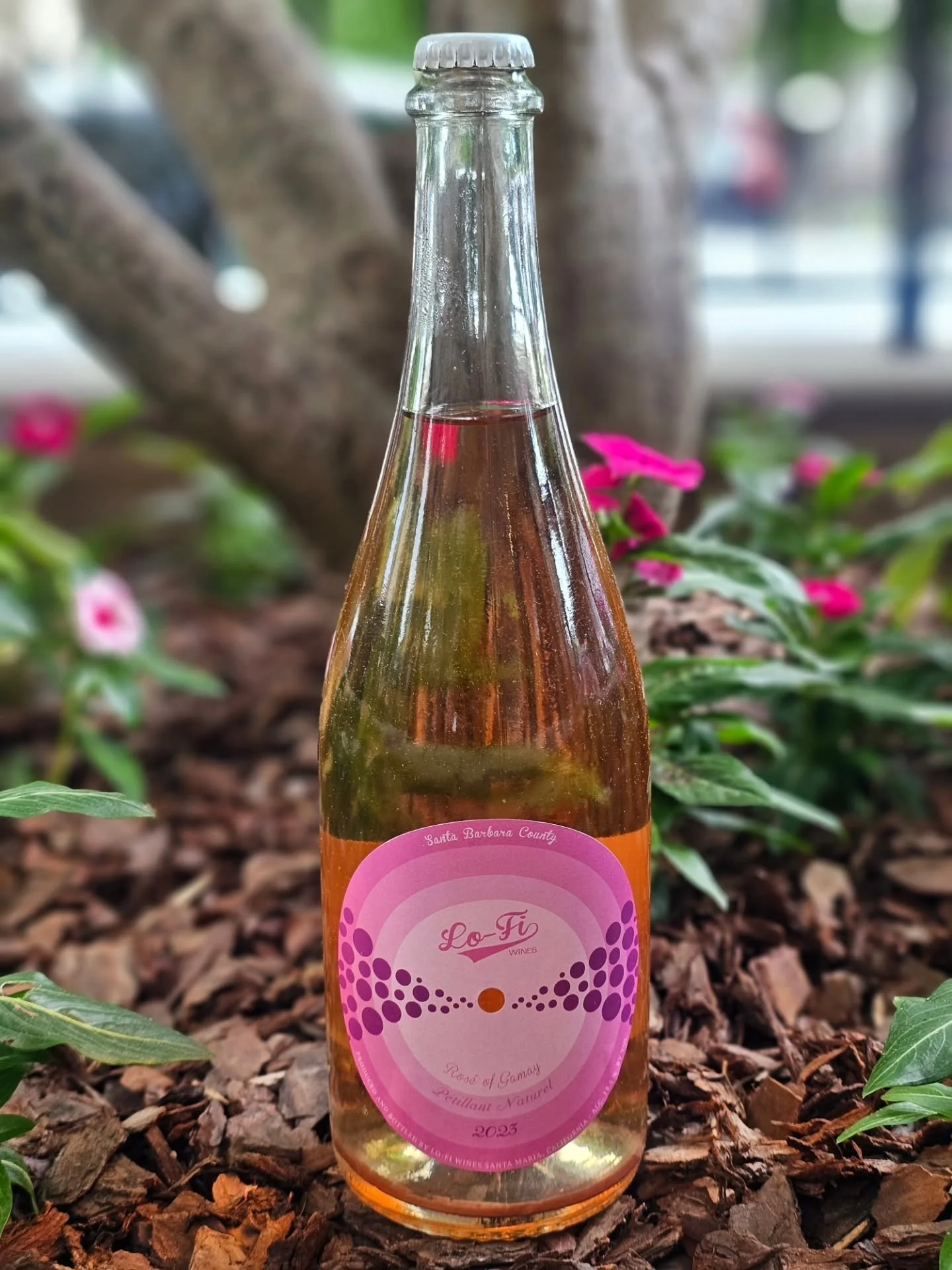 🌷Mother's Day Wine, we got you!🌷