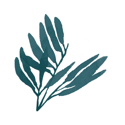 blue leaves.png
