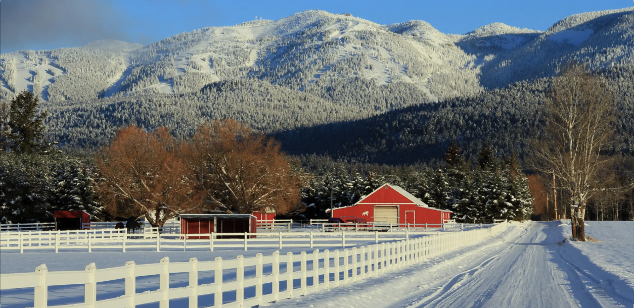 Winter Home Watch Oversight for Paradise Valley Estates