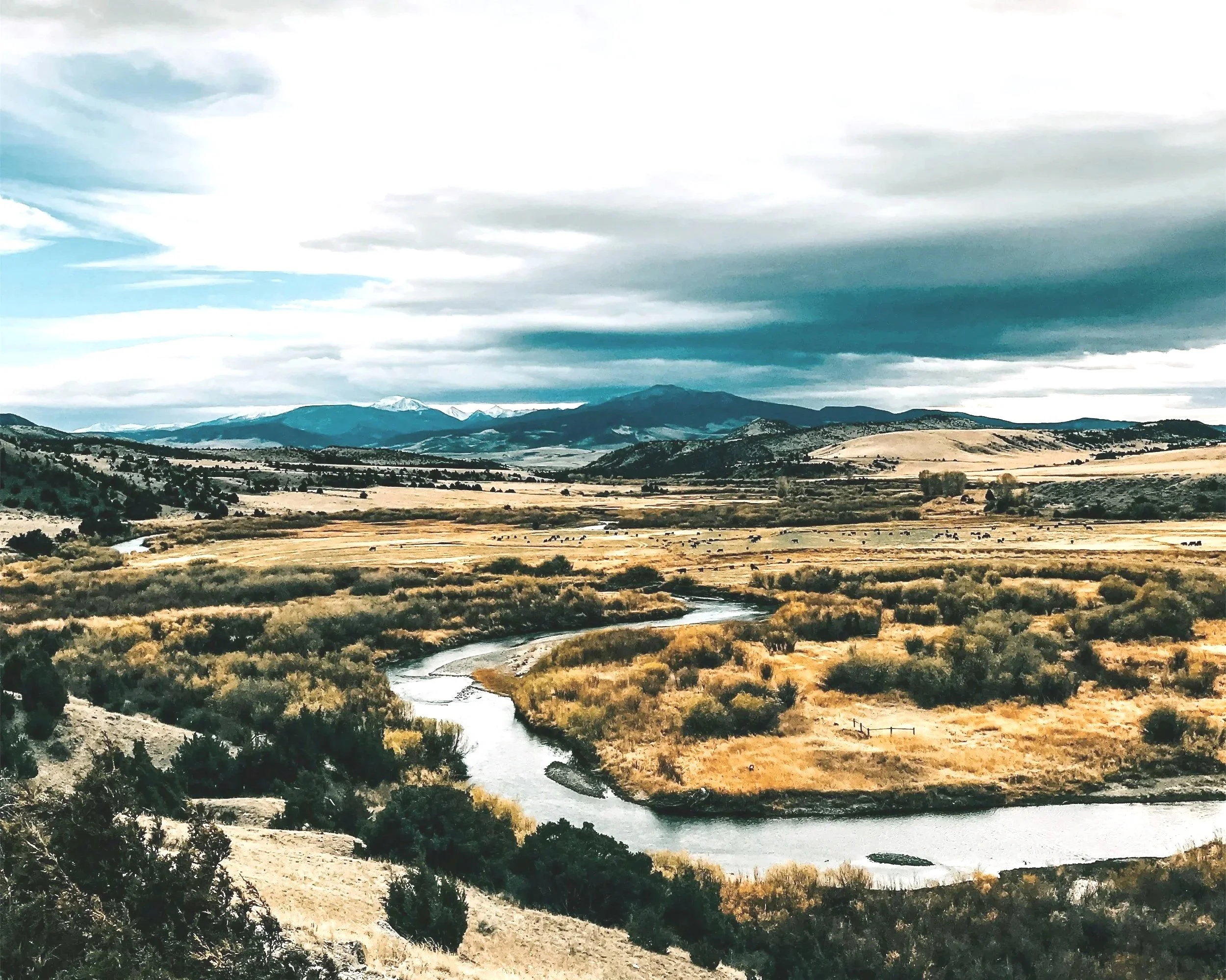 unsplash-image-EL4NWSPhNDI.jpg