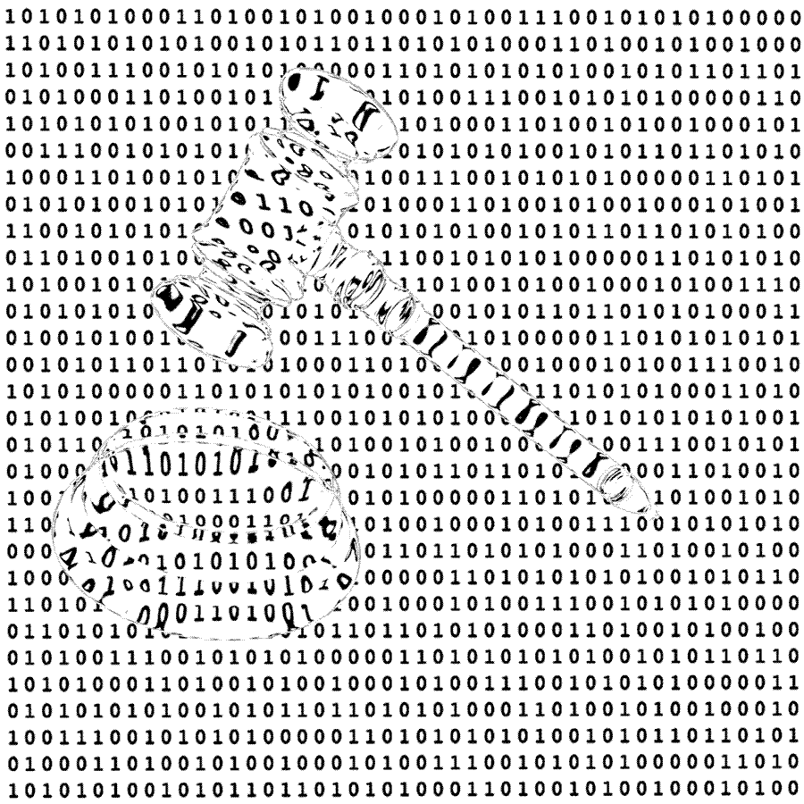 Missing: Criminal Justice Data