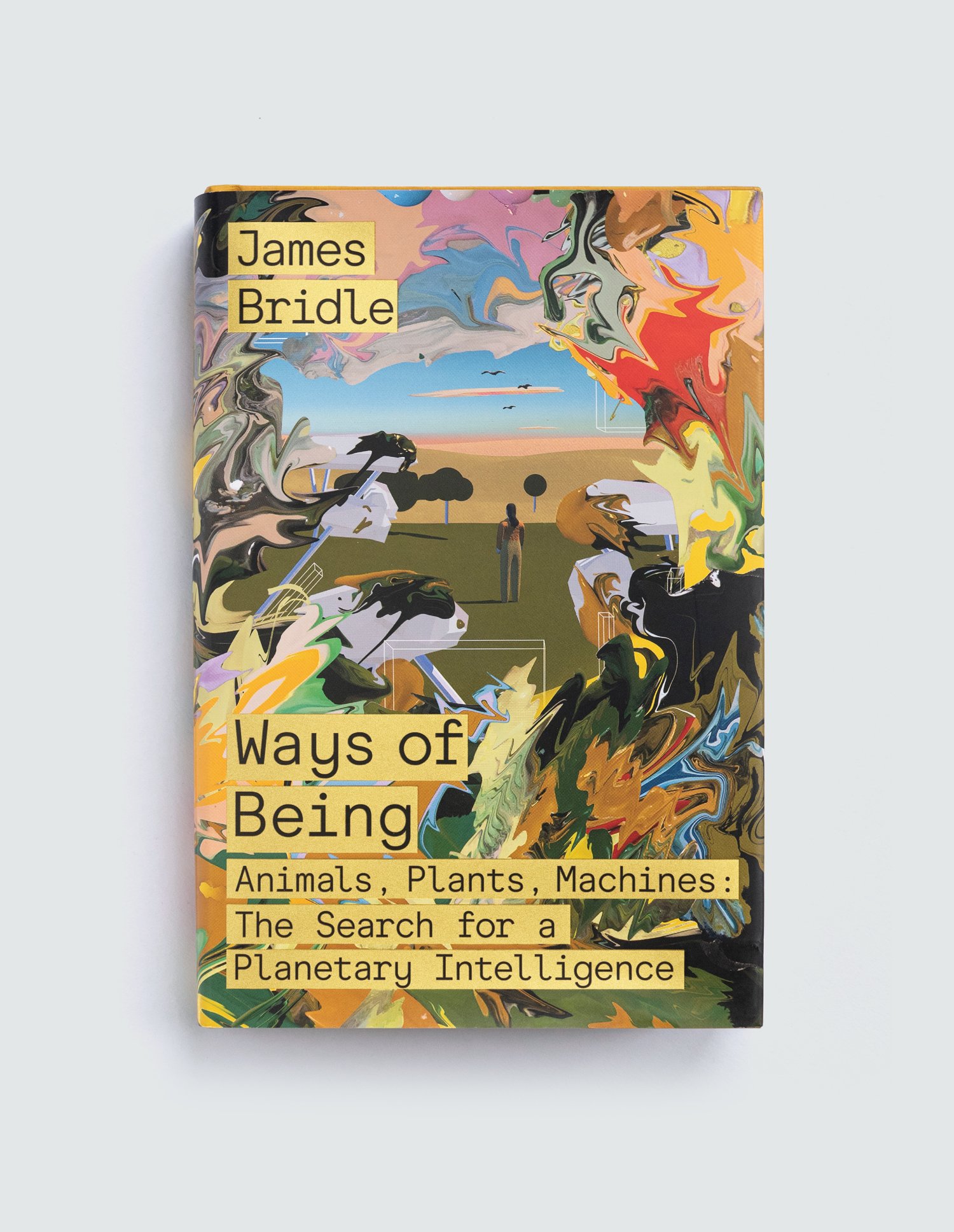 JAMES BRIDLE. FSG BOOKS. 2022. ILLUSTRATED BY JON HAN.