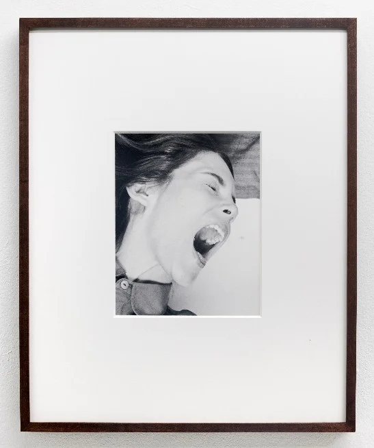 Lemon Scream , 2018. Archival pigment print. 10 x 8 inches.