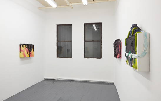  Installation view. 