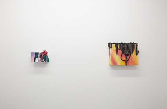  Installation view. 