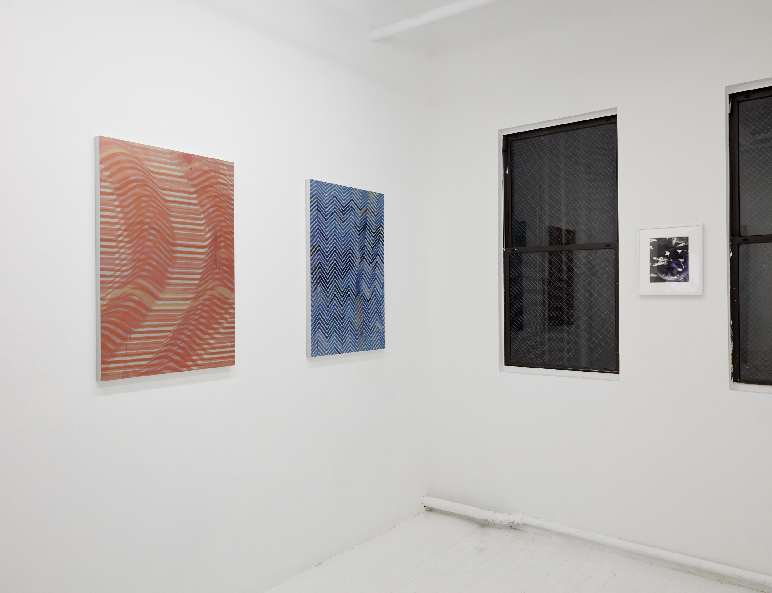  Installation view. 