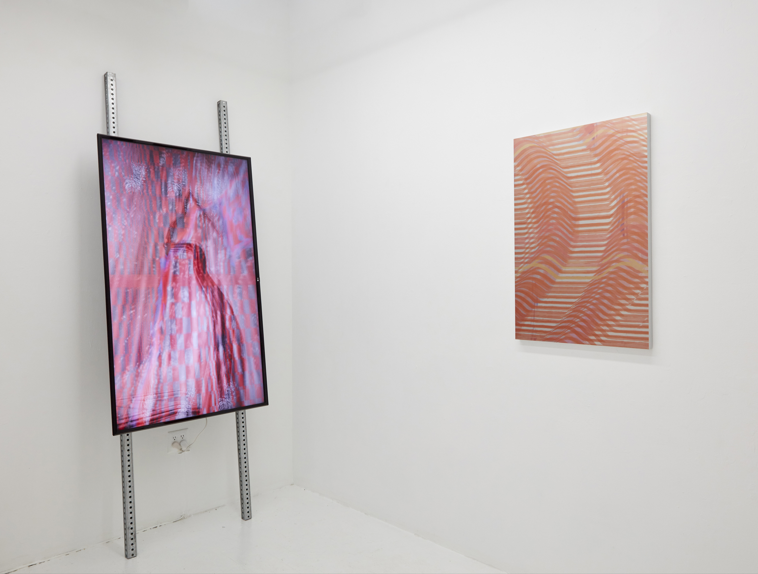  Installation view. 