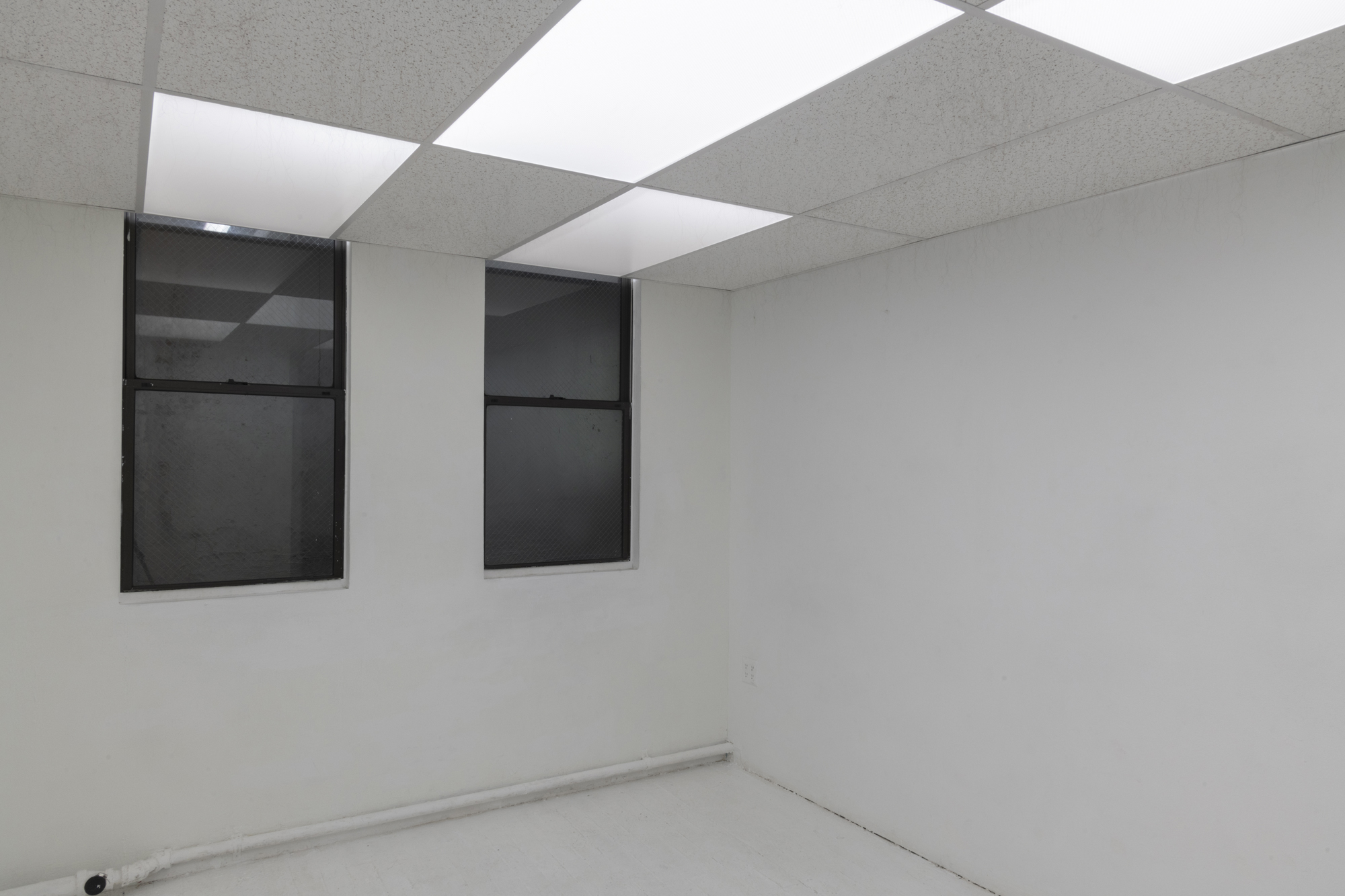   Anagen , 2018–19. Armstrong ceiling tiles in dropped ceiling in gallery, human hair, glue. 86 x 117 x 203 inches (approximately). 