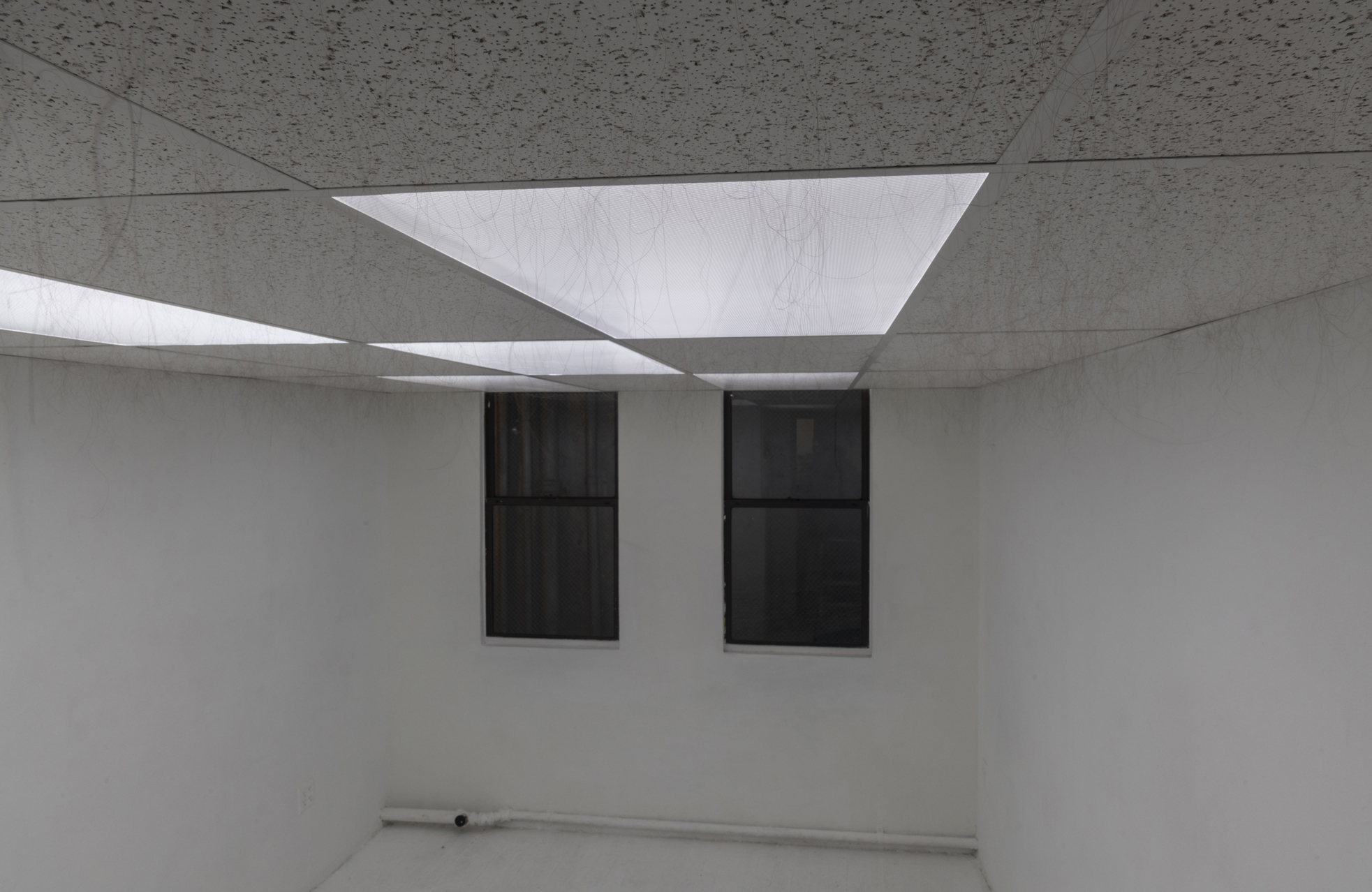   Anagen , 2018–19. Armstrong ceiling tiles in dropped ceiling in gallery, human hair, glue. 86 x 117 x 203 inches (approximately). 