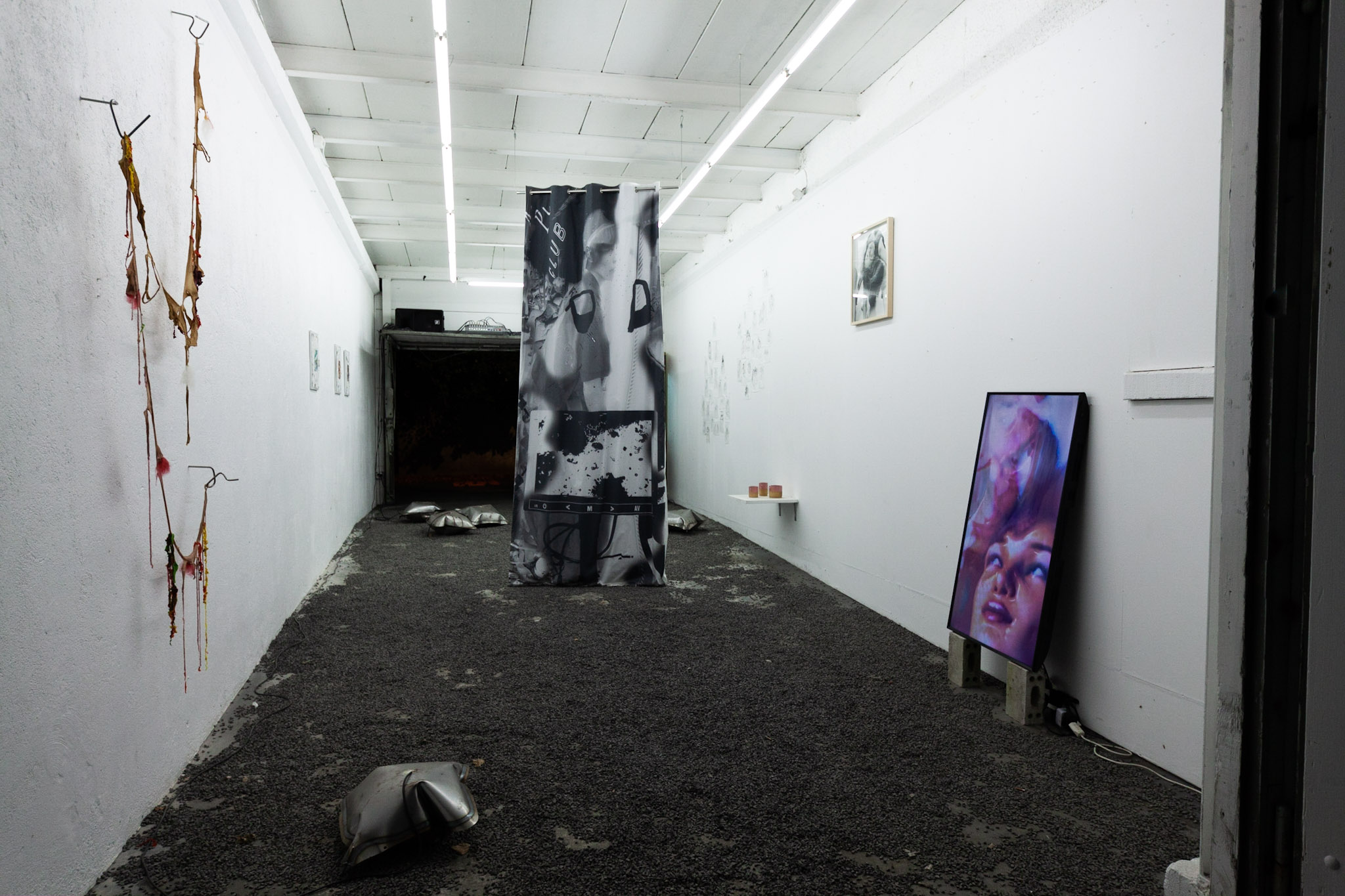  Installation view. 