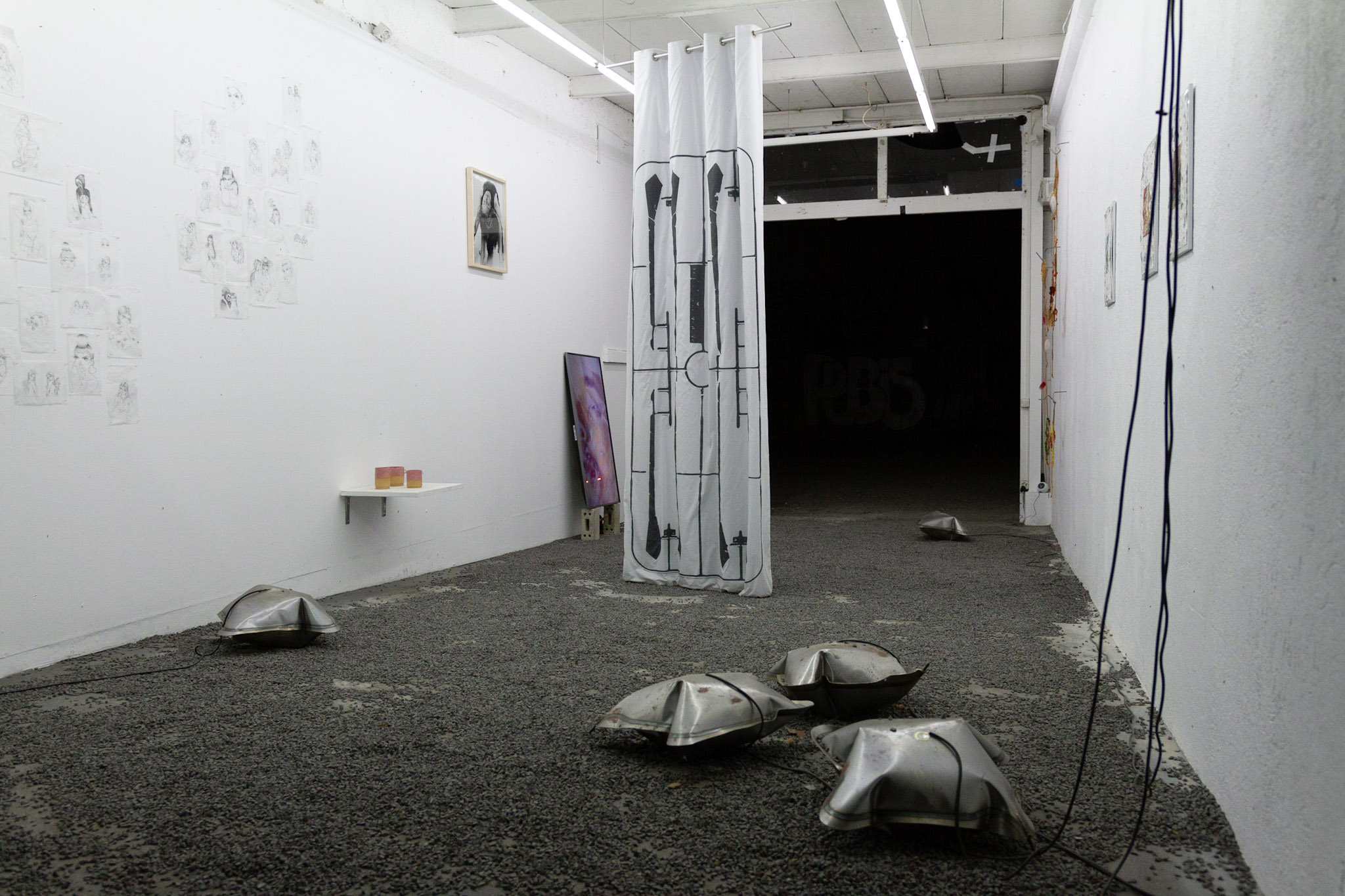  Installation view. 