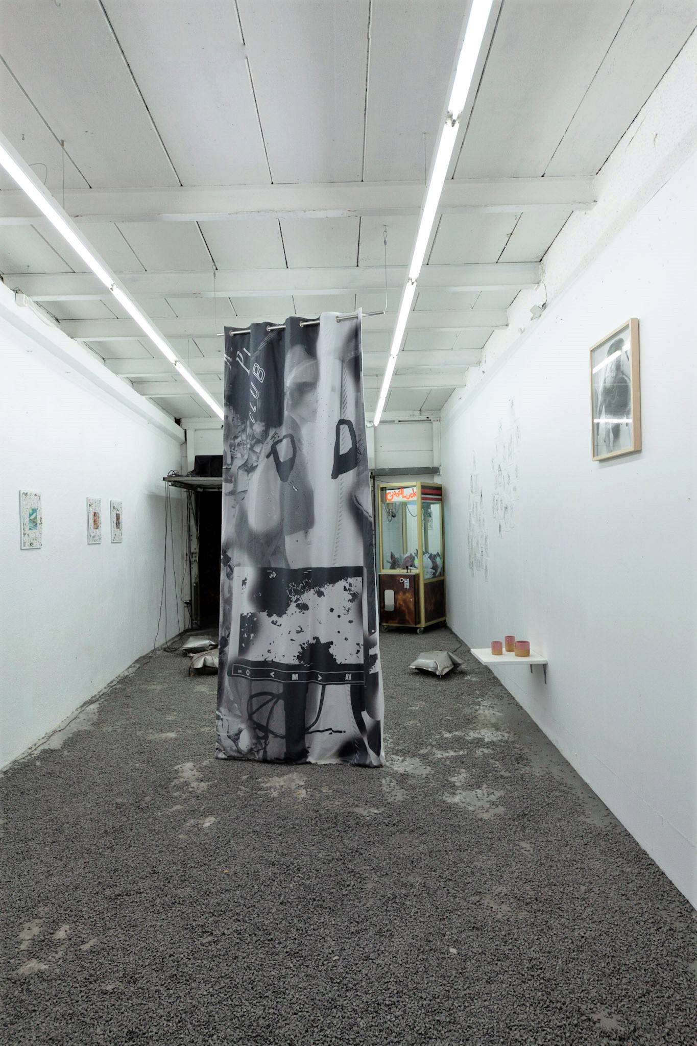  Installation view. 