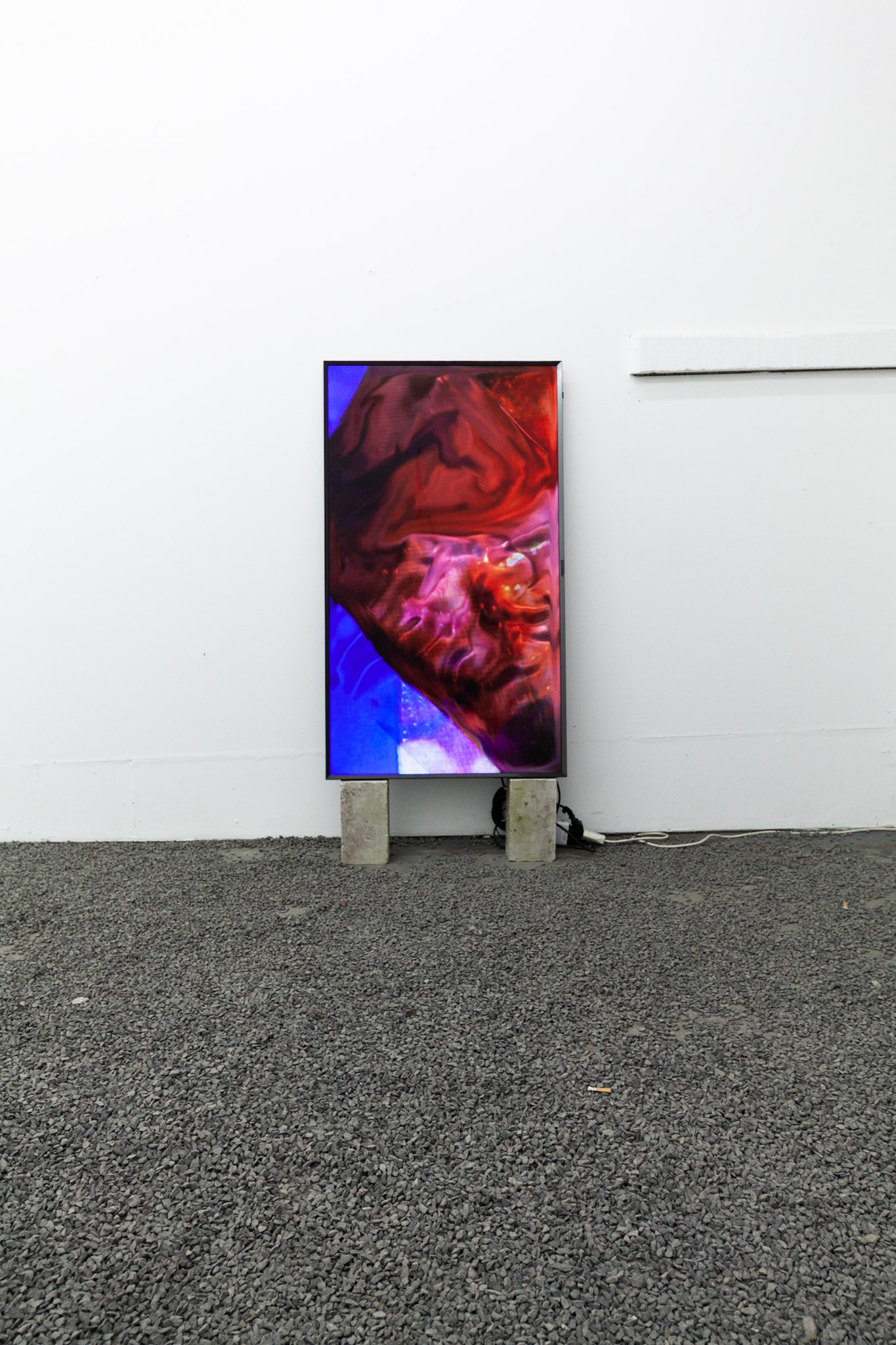  Theodore Darst, installation view. 