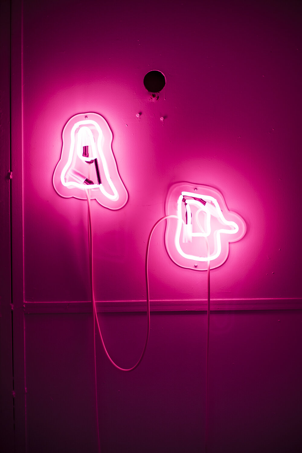   Toy , 2019. Neon lights. 22 x 17 x 3 inches. 
