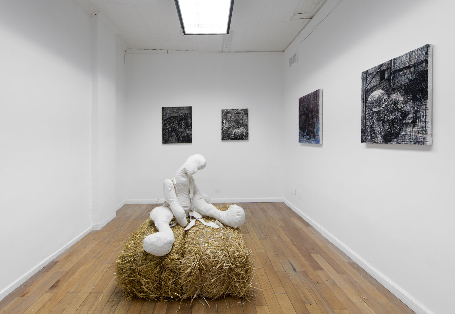  Installation view. 