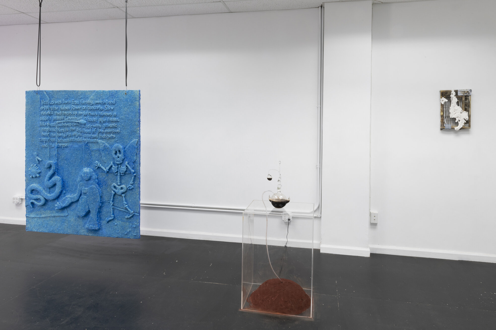  Installation view. 