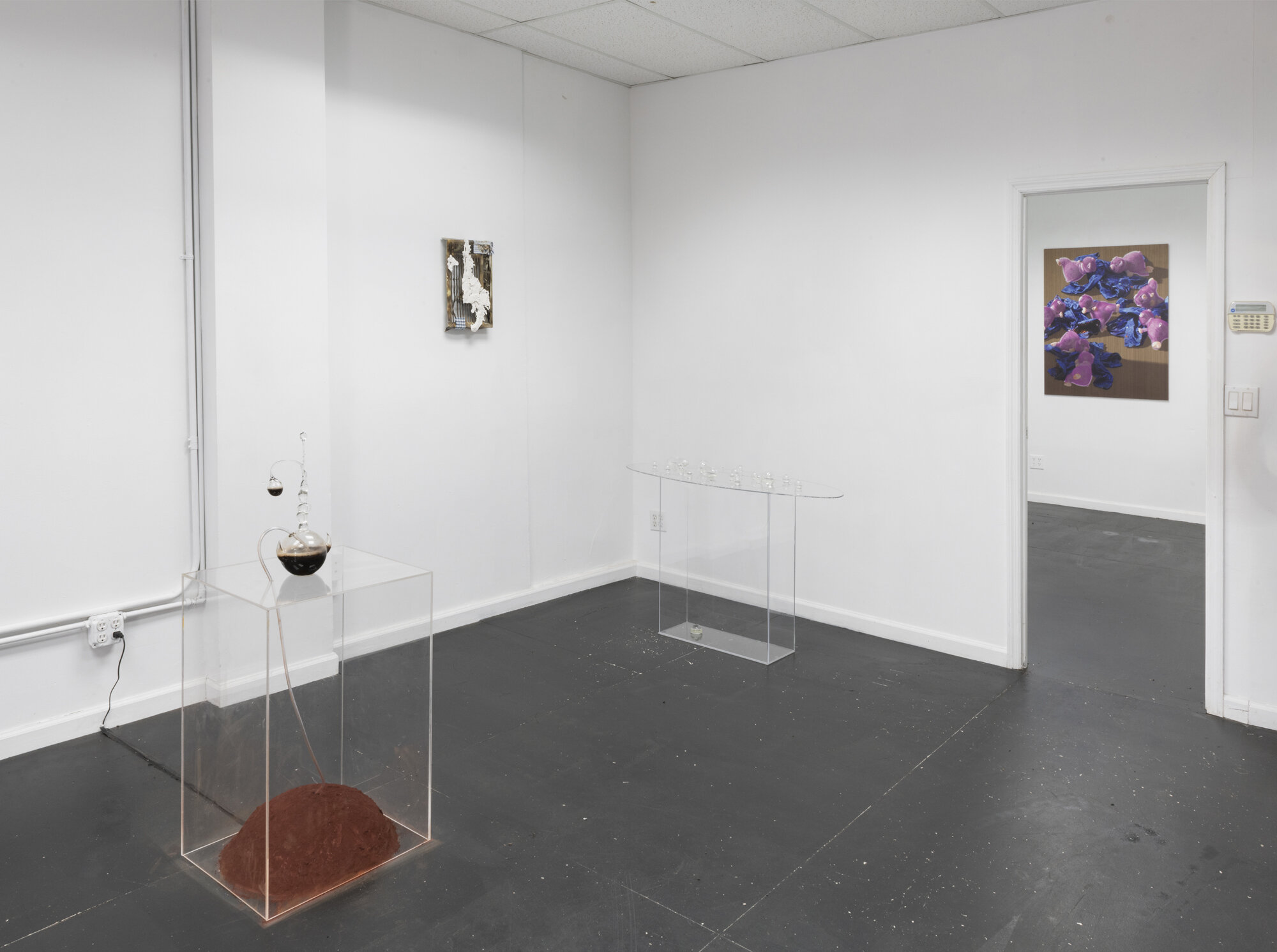  Installation view. 