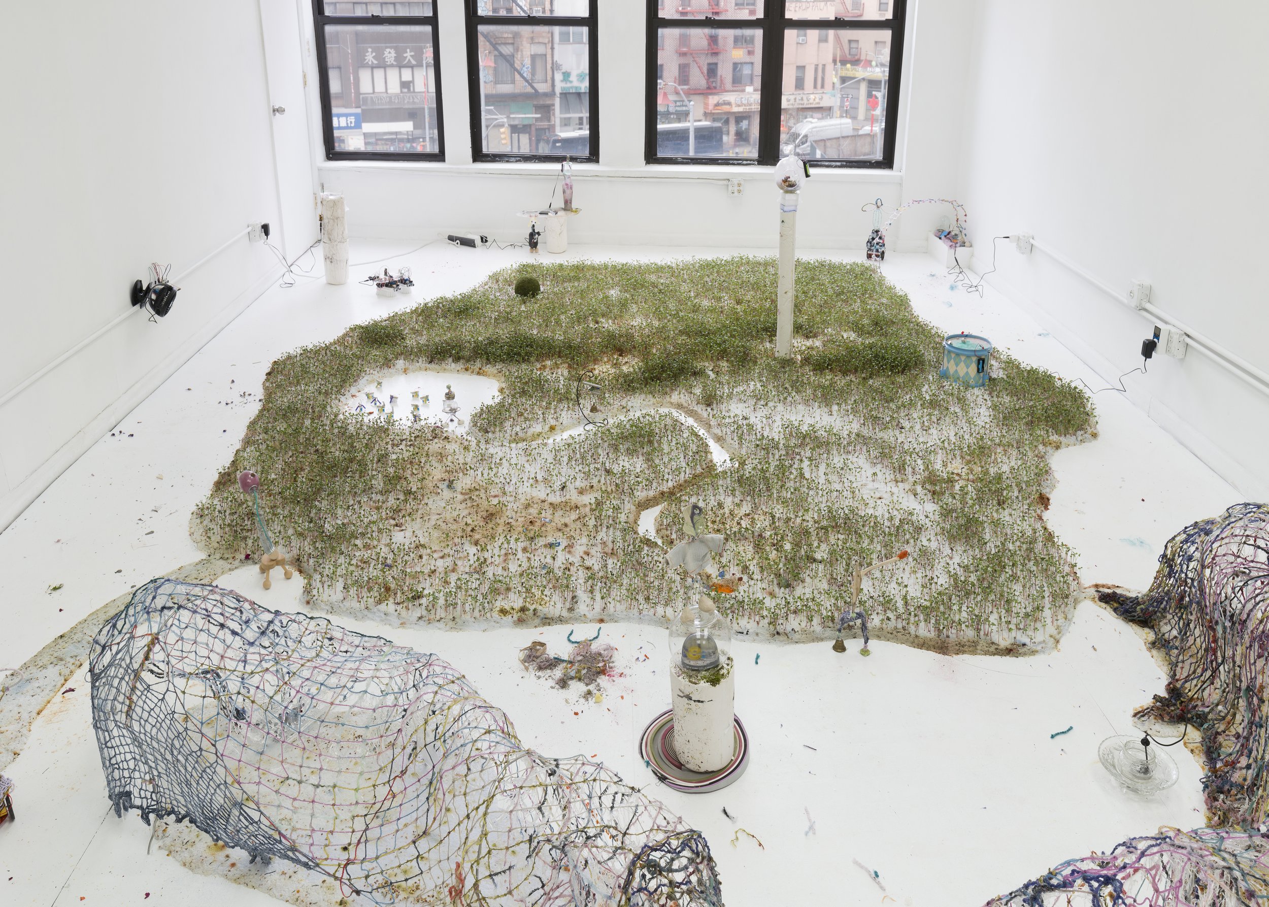  Installation view. 