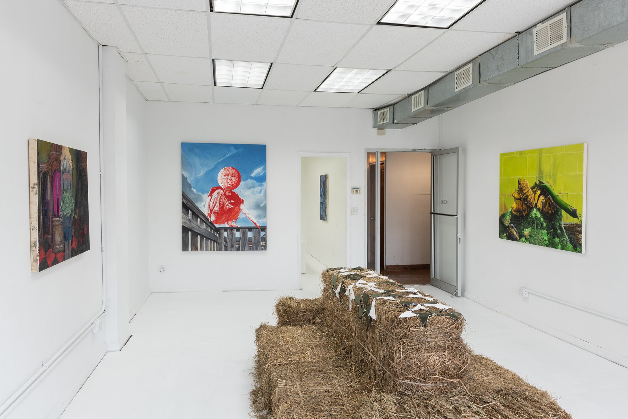  Installation view. 