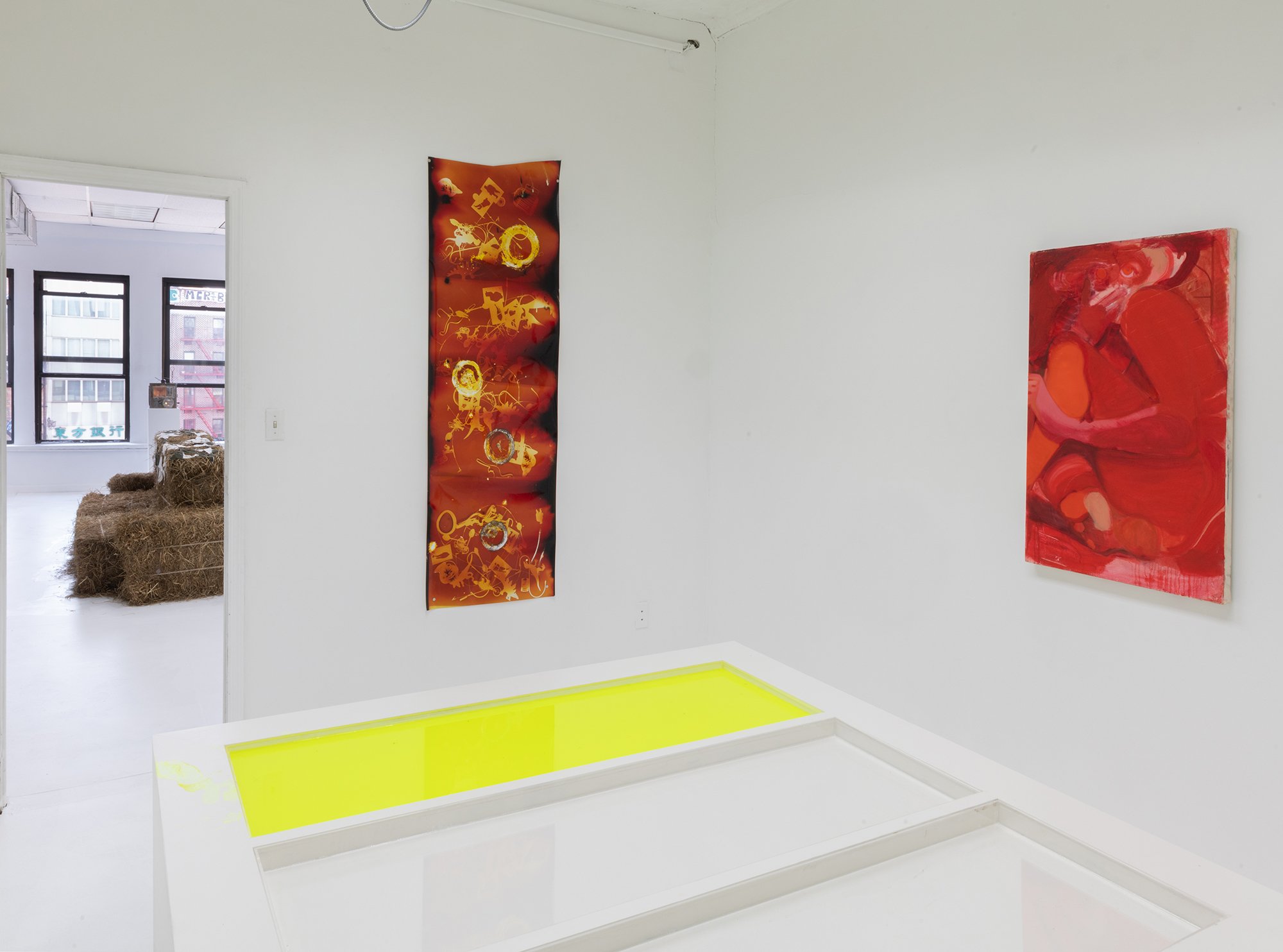  Installation view. 