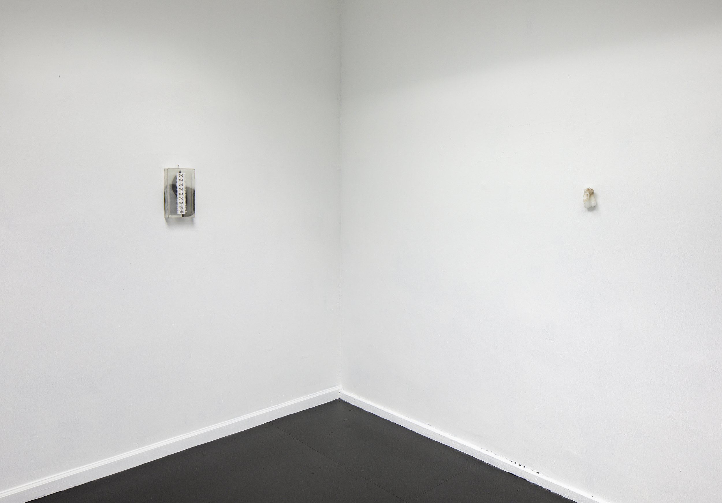  Installation view. 