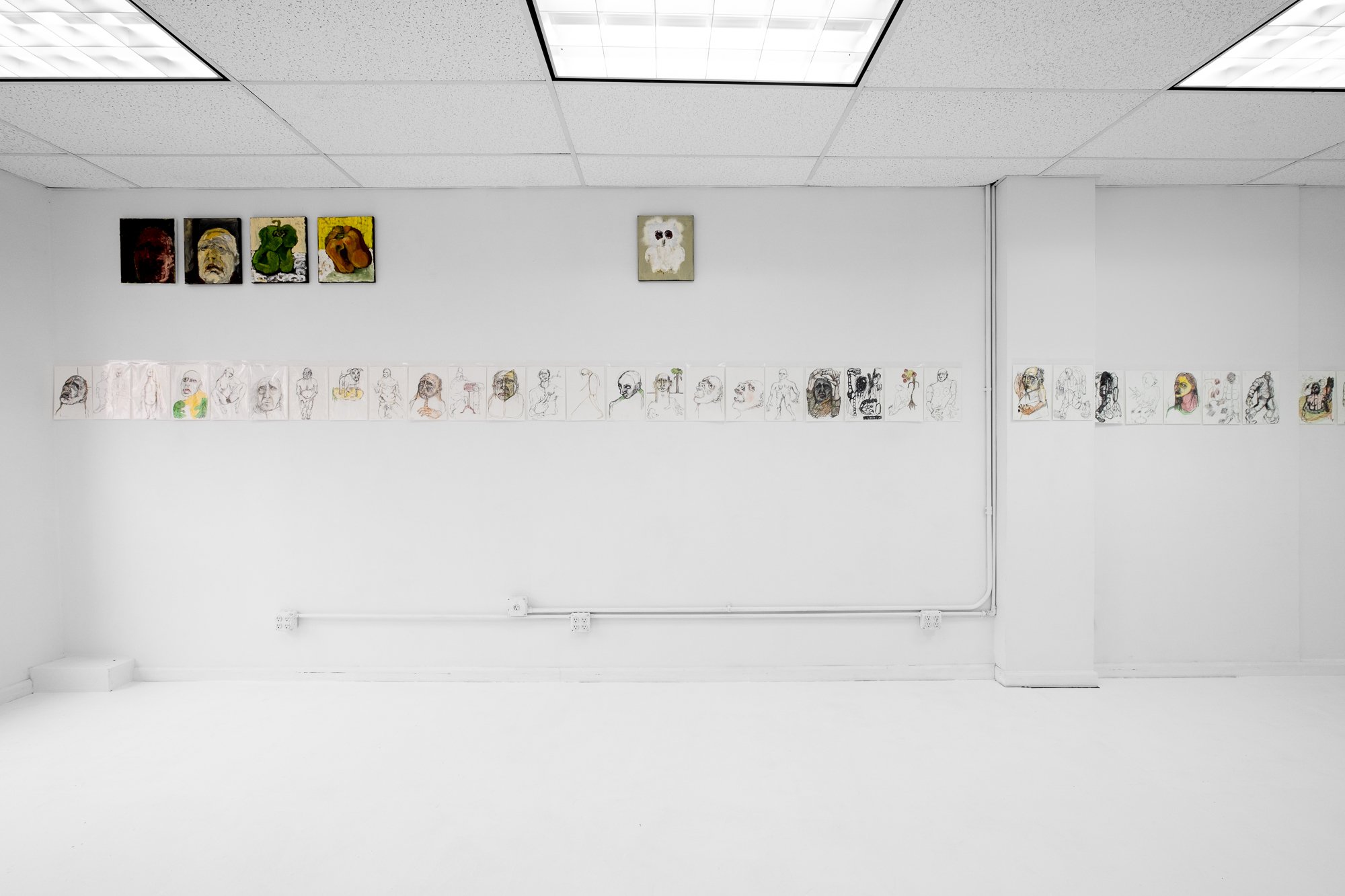  Installation view. 