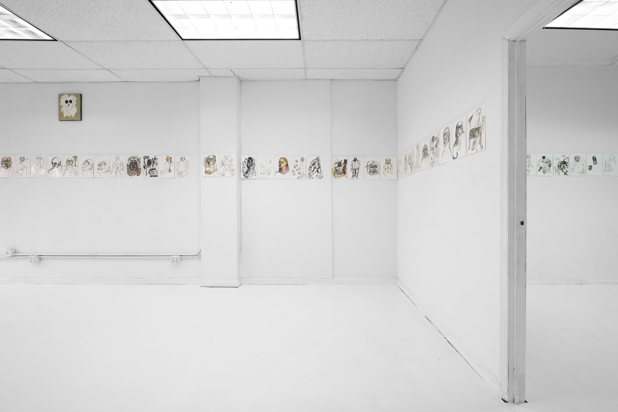  Installation view. 